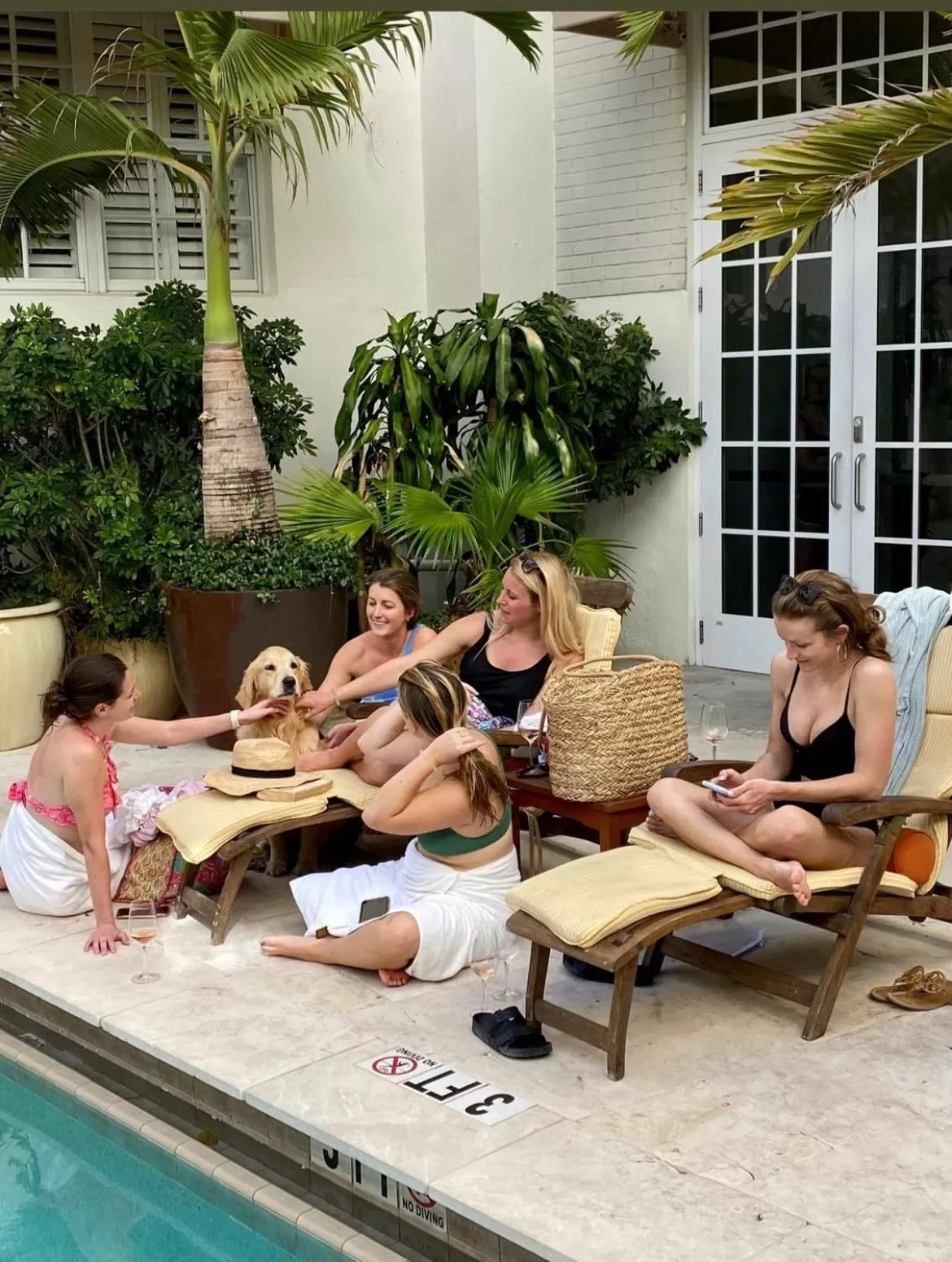 Pets in The Betsy Hotel, South Beach