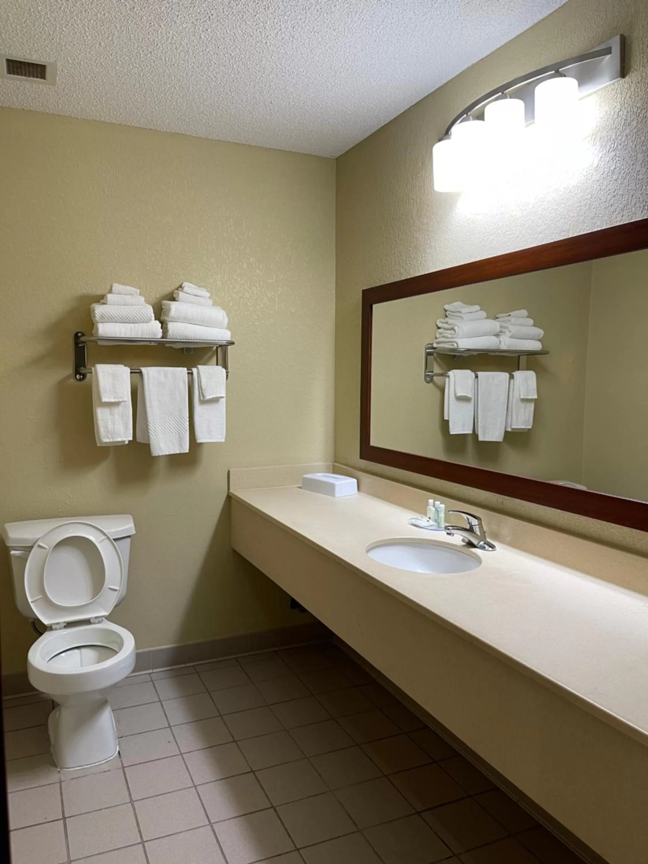 Quality Inn Thomasville-Northpark