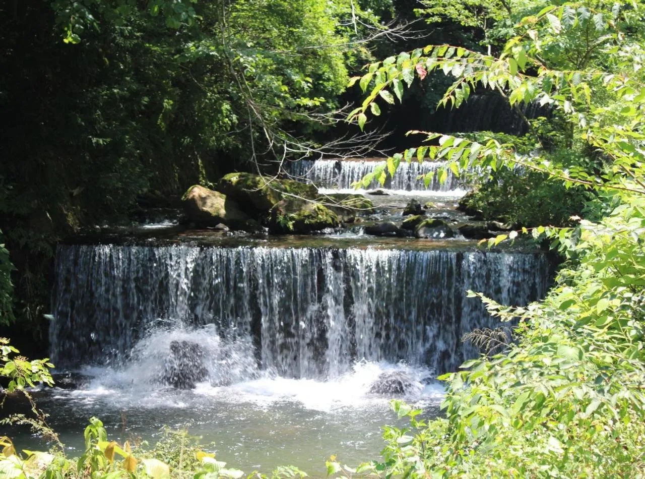 Natural landscape in Art & Music Spa Resort Manatei Hakone