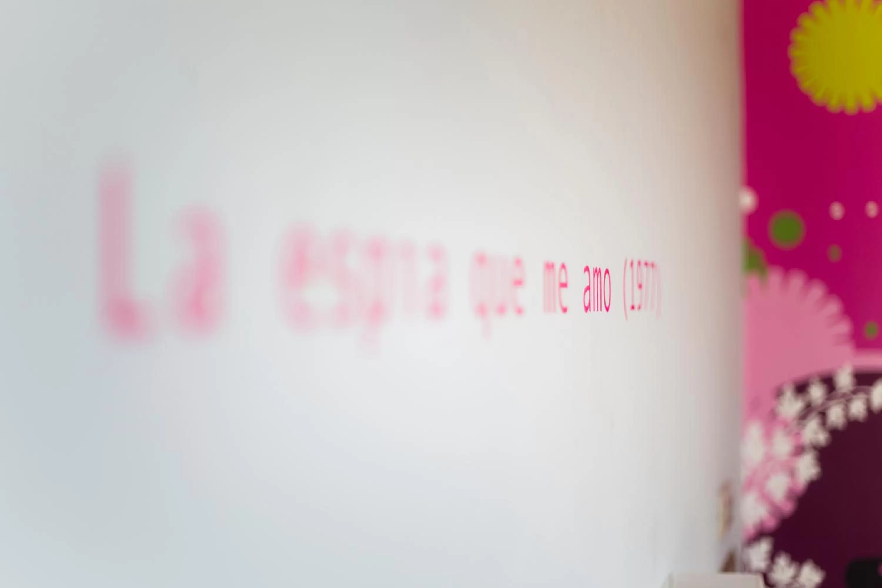 Decorative detail in Hotel Mi Norte