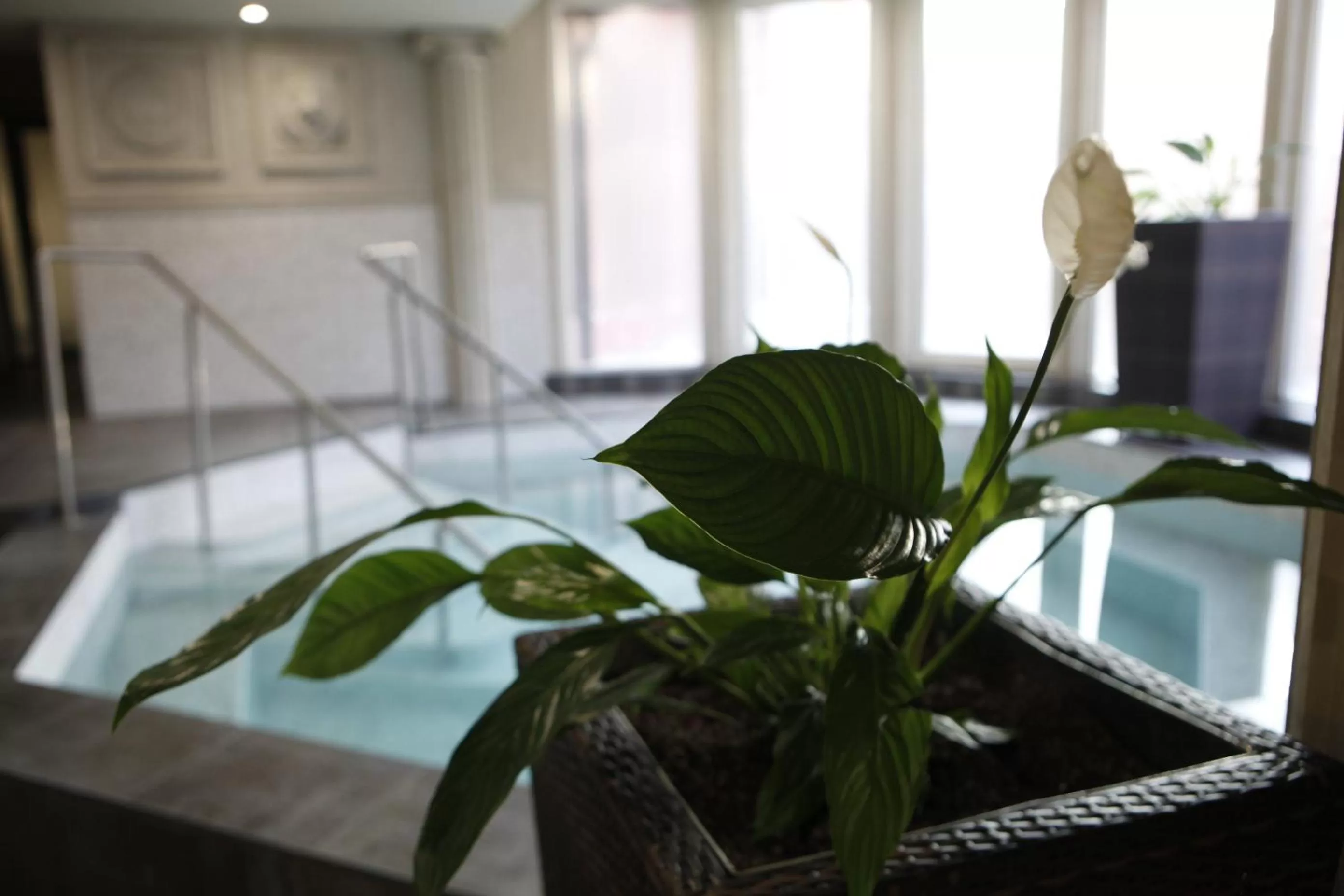 Hot Spring Bath in Strimon Garden Medical SPA Hotel