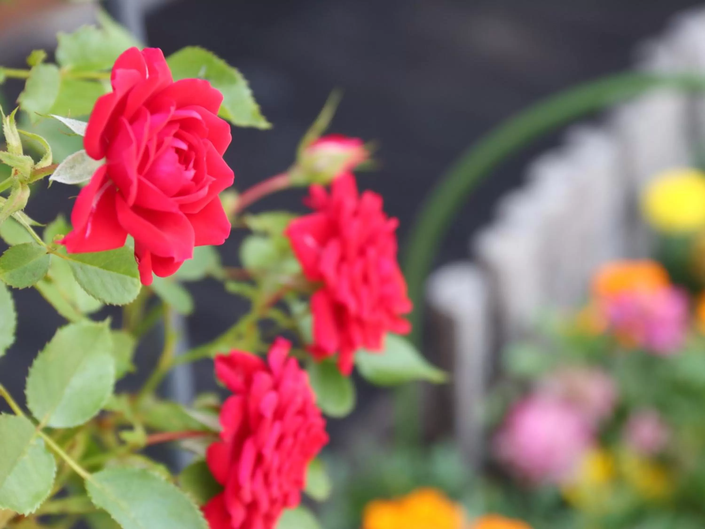 Decorative detail in Fukiya