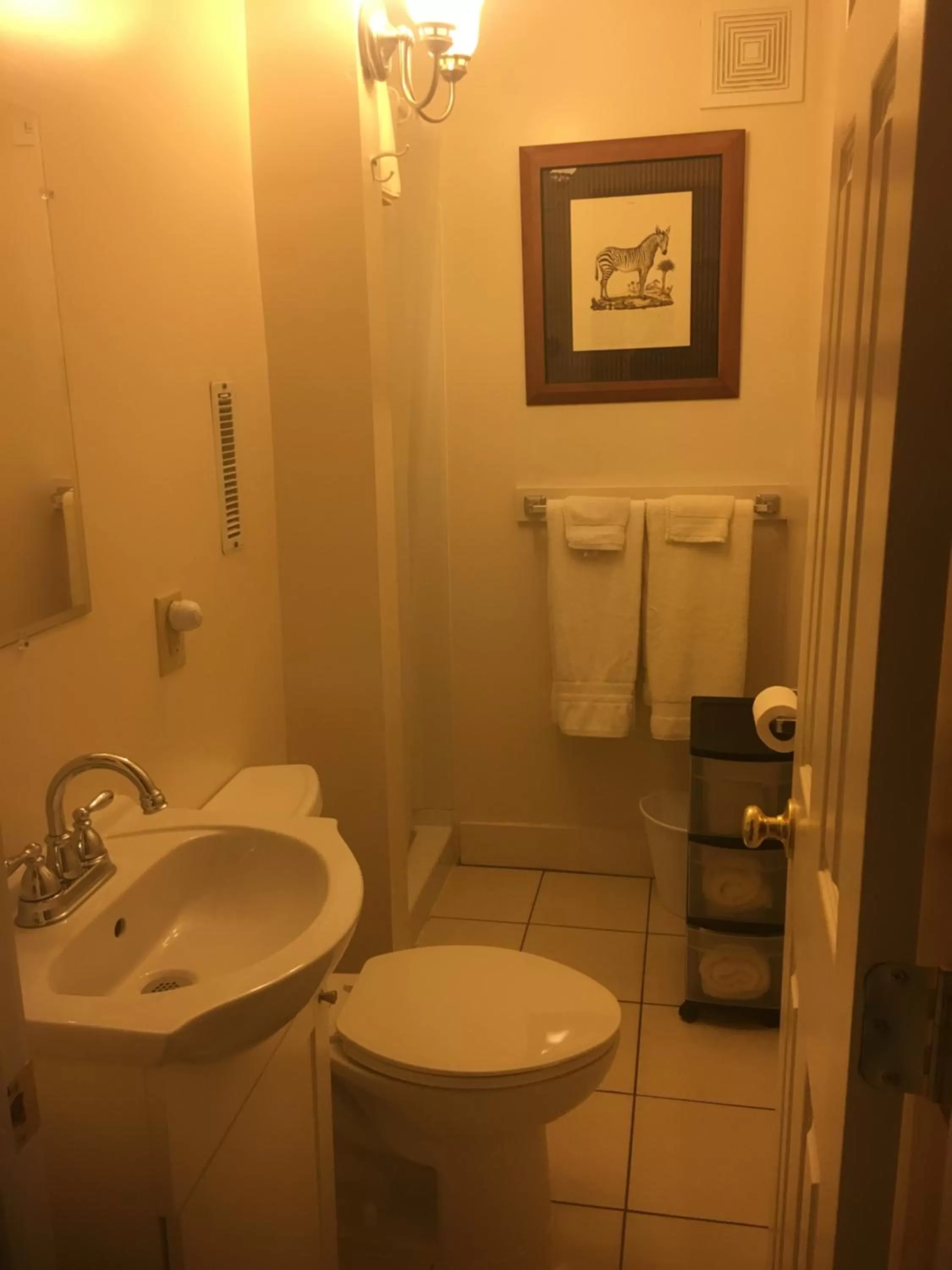 Toilet in Bayberry House Bed and Breakfast