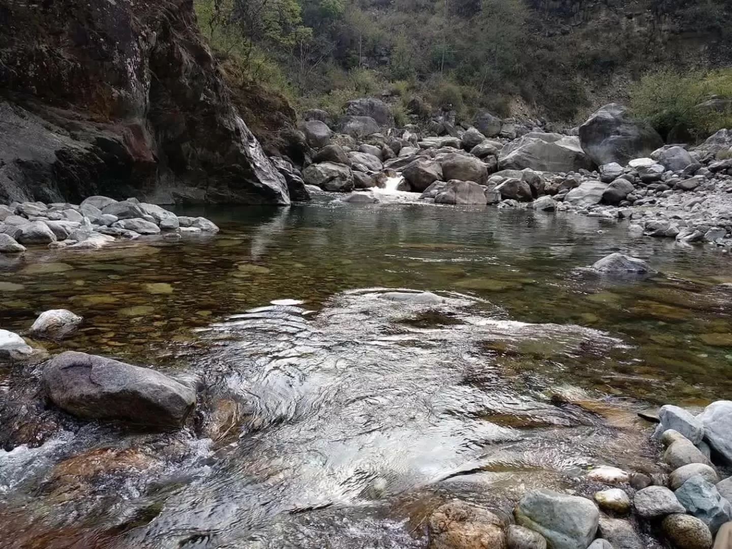 Natural Landscape in Travelers Inn Wilburton