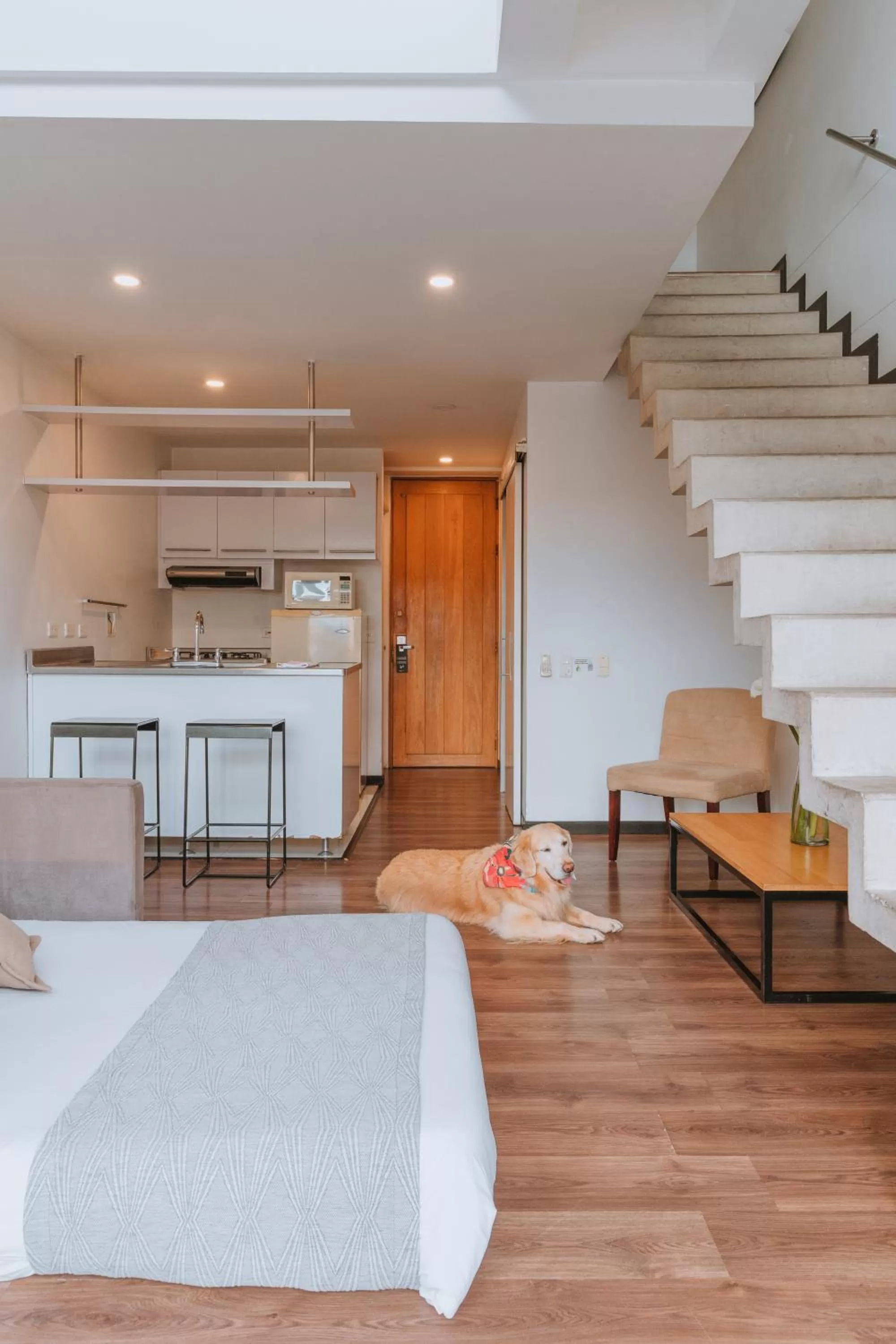 Living room, Bed in Travelers Orange Suites