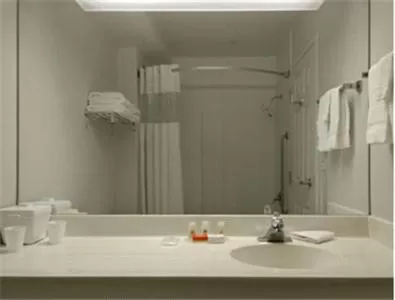 Bathroom in Ramada by Wyndham Salt Lake City