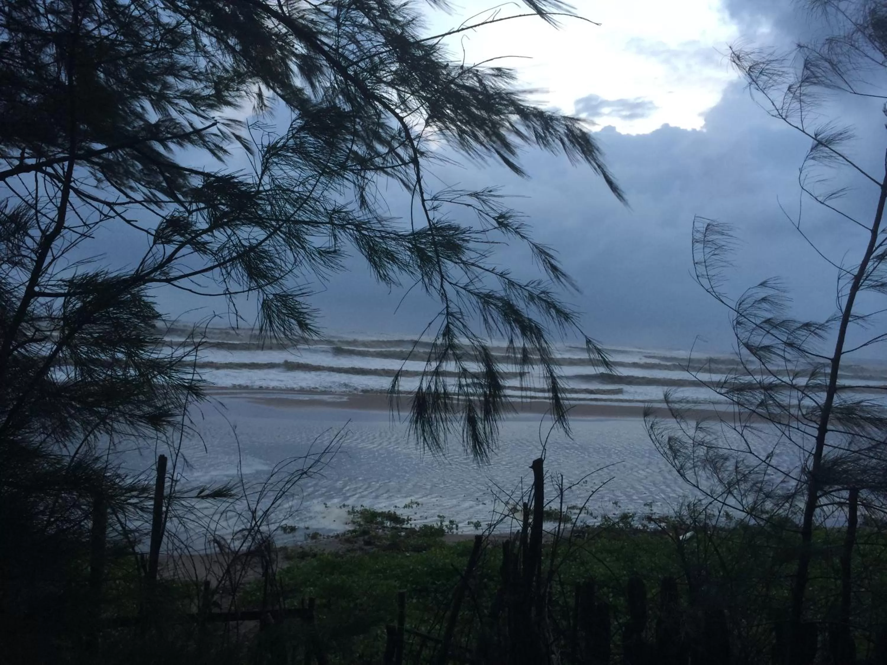 Natural landscape in OmBodhi Retreat