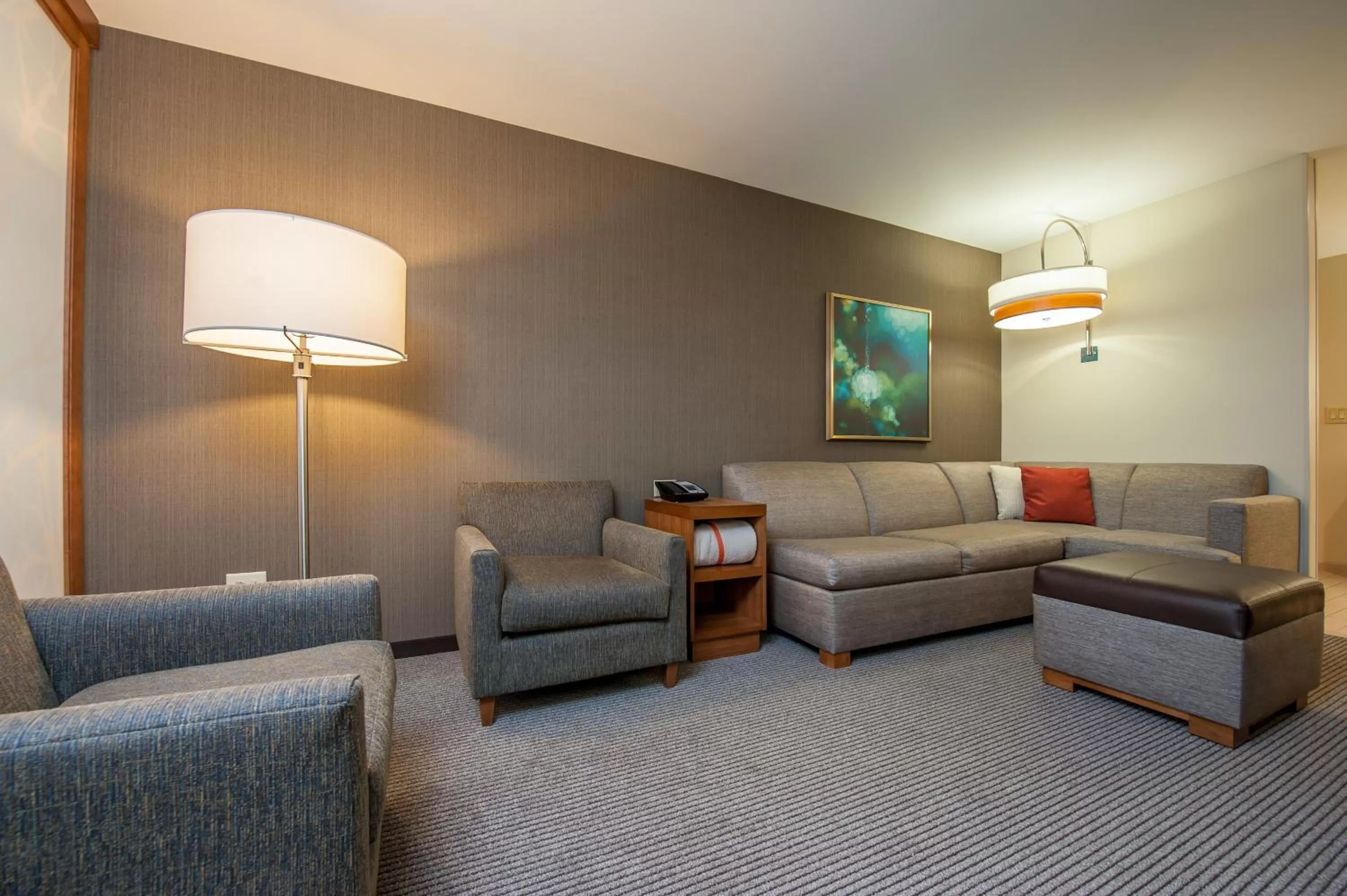One-Bedroom Suite with Sofa Bed in Hyatt Place Bowling Green