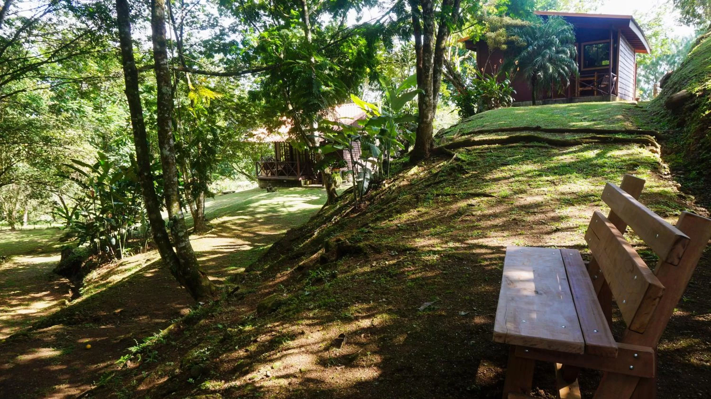 Garden in Hospedaje La Naciente