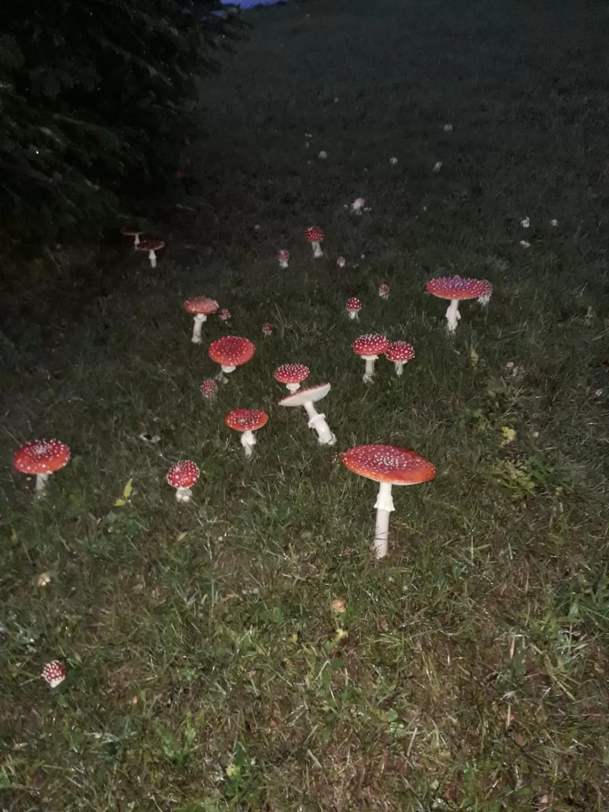 Natural landscape in Sunrise B&B Hellenthal