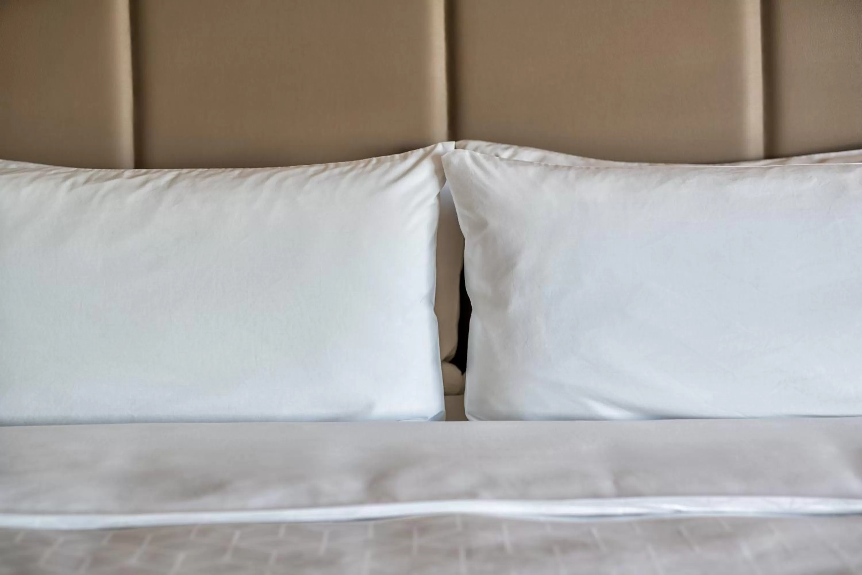 Photo of the whole room, Bed in Holiday Inn Express & Suites - Brandon by IHG