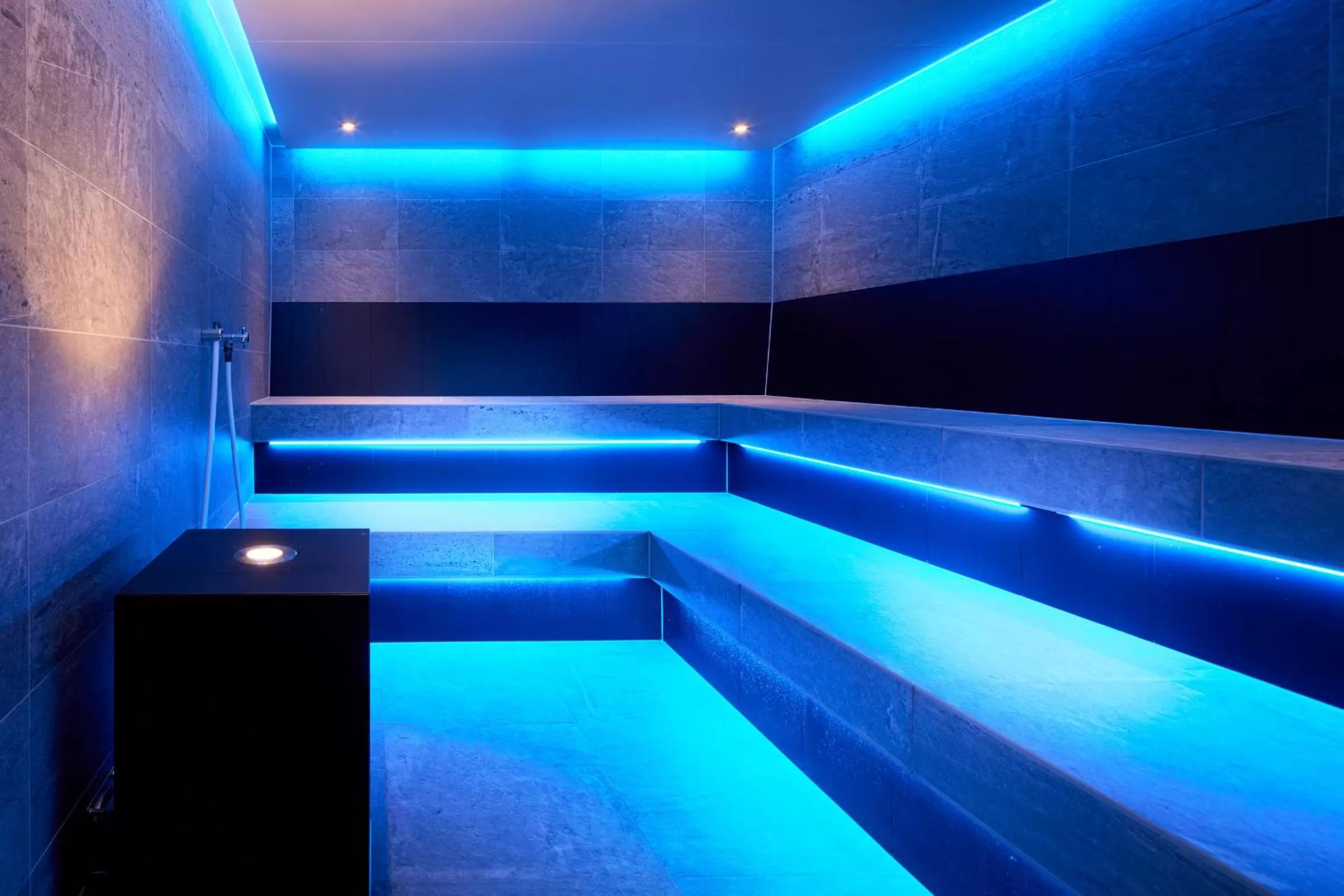 Spa and wellness centre/facilities, Swimming Pool in Puitalm - Natur I Apart I Hotel