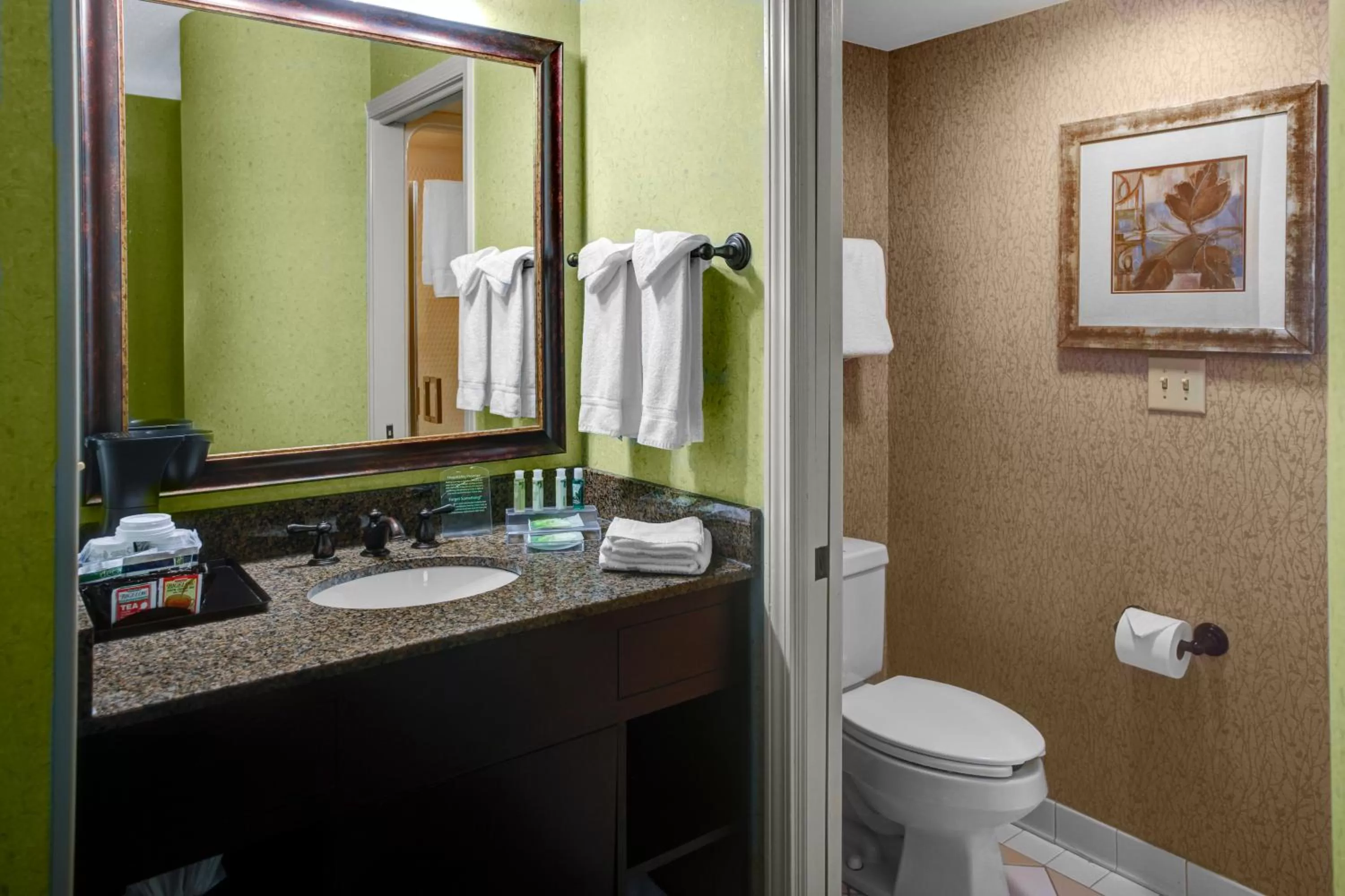 Bathroom in Holiday Inn Express Hotel & Suites Atlanta Buckhead by IHG