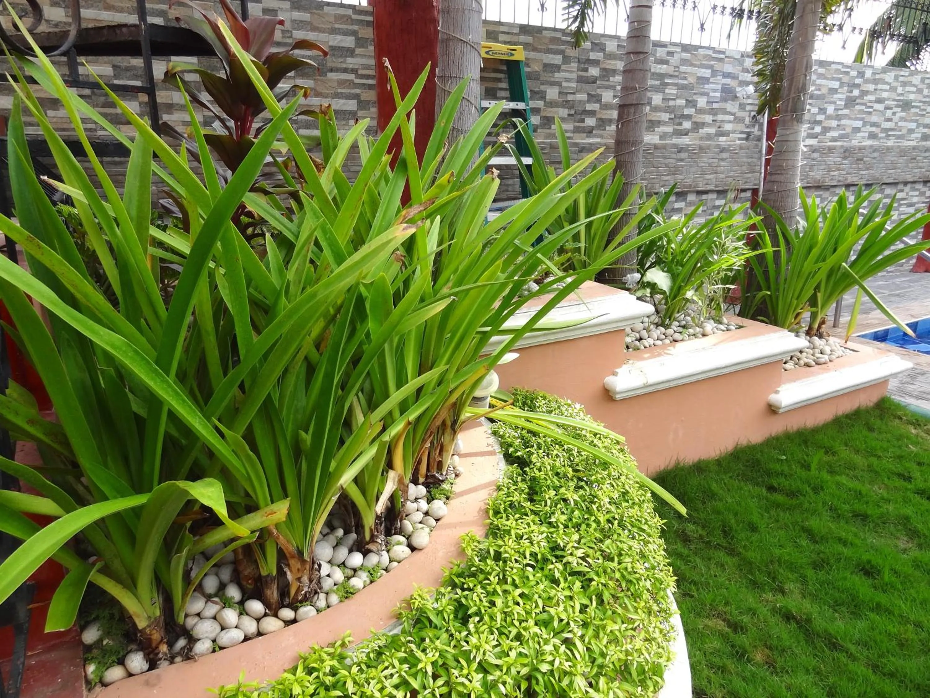 The Executive Villa Inn & Suites