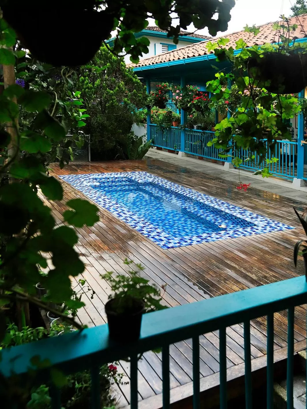 Pool View in Casa de las Dos Palmas