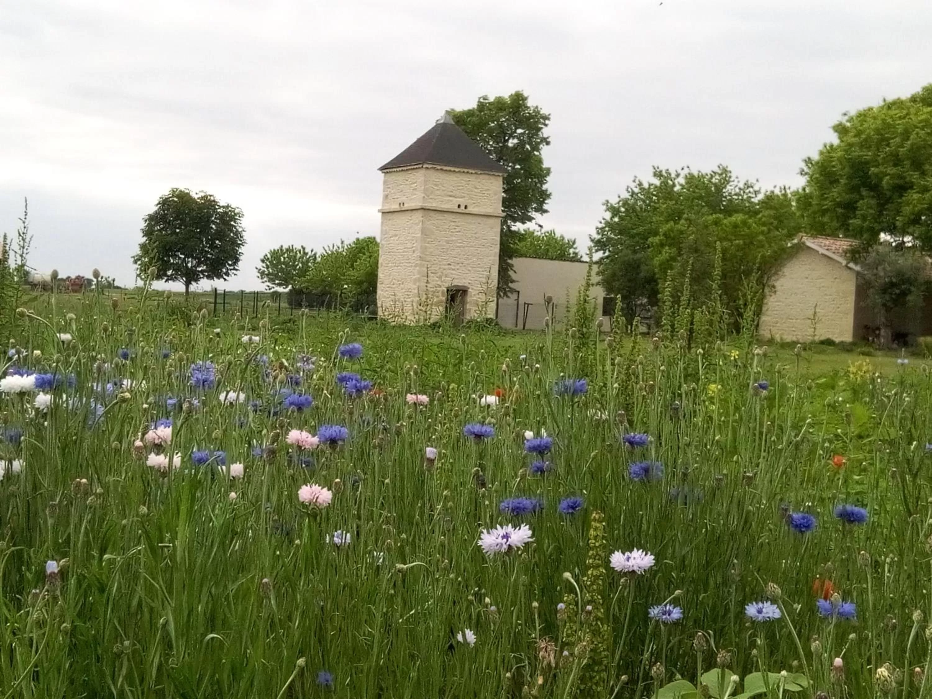 Property building in Chambres d'Hôtes Château Pierre de Montignac