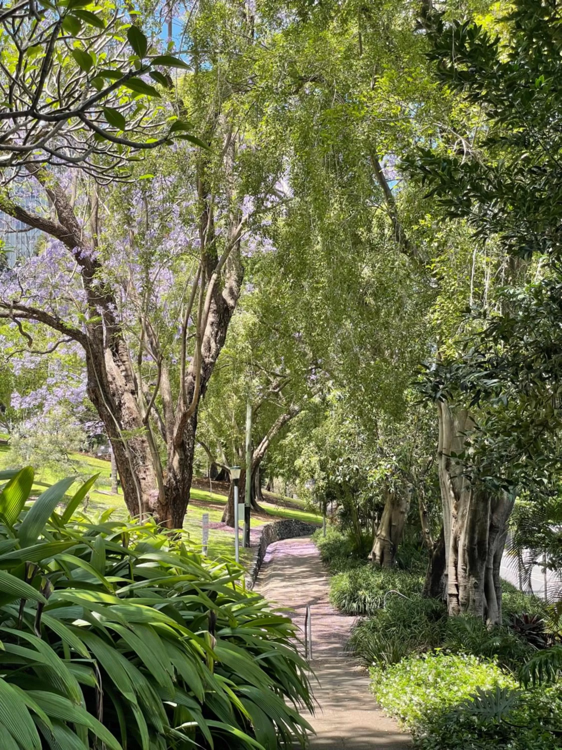 Nearby landmark in George Hotel Brisbane, Independent Collection by EVT