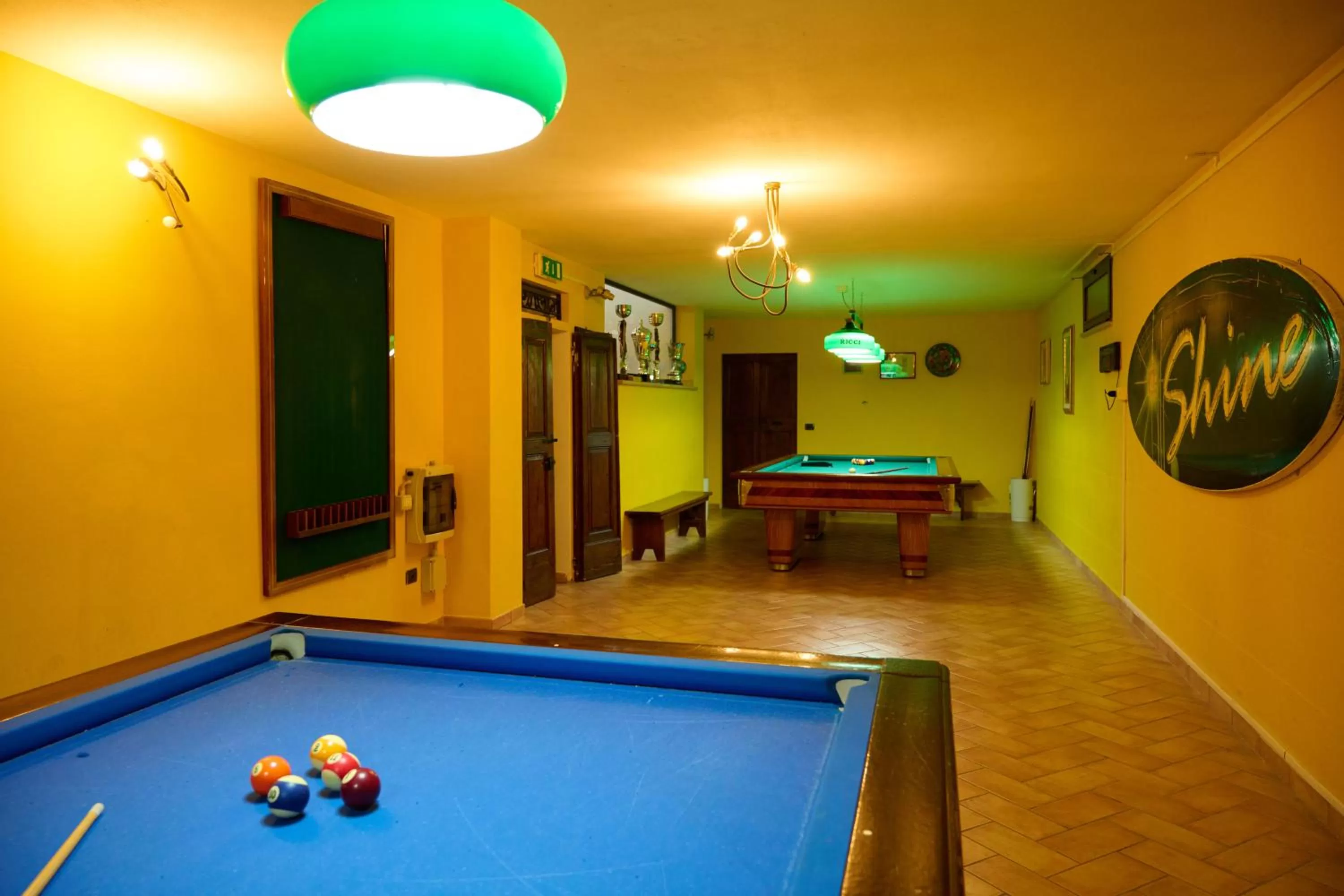 Billiard in Albergo Shine