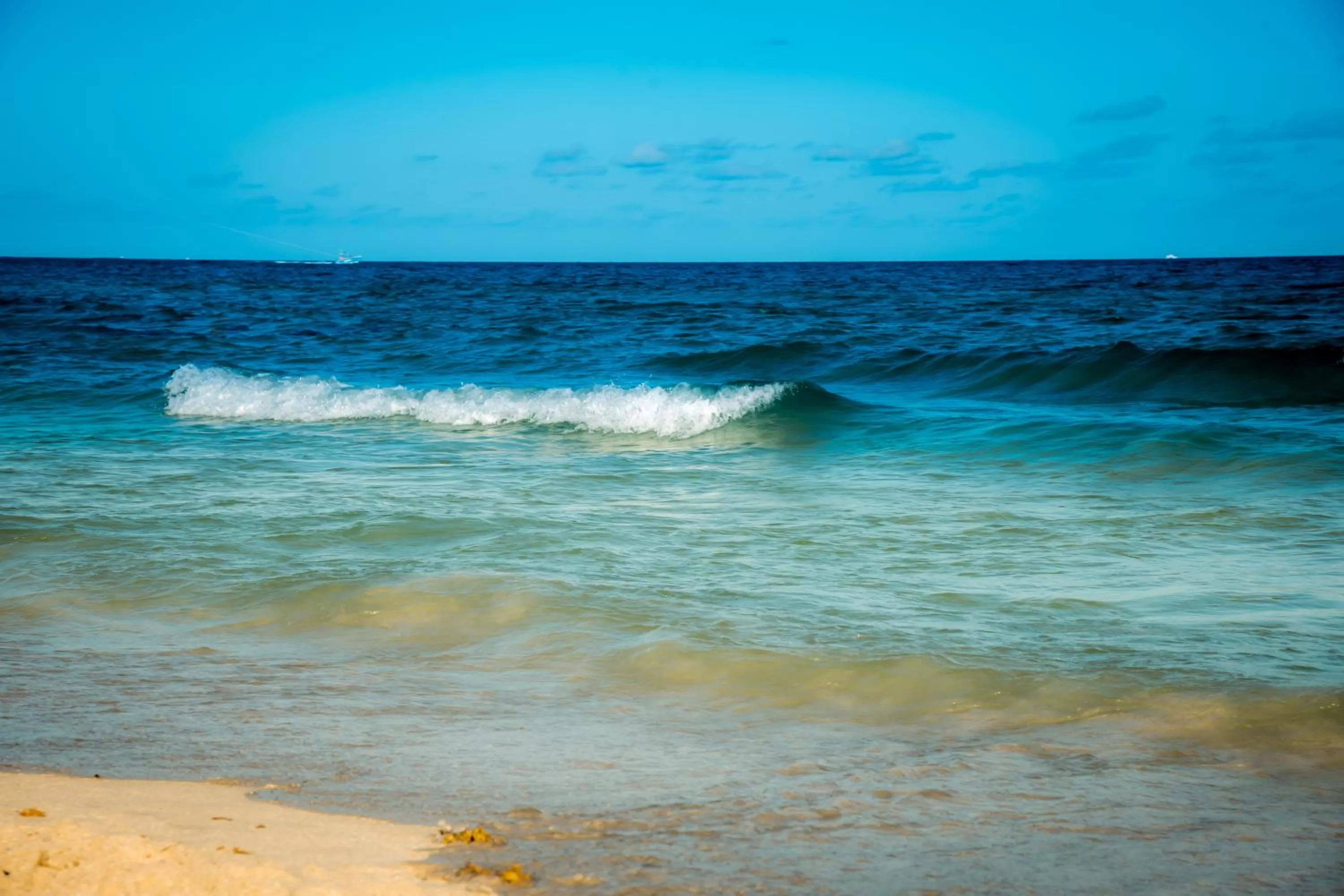 Beach in Century Hotel