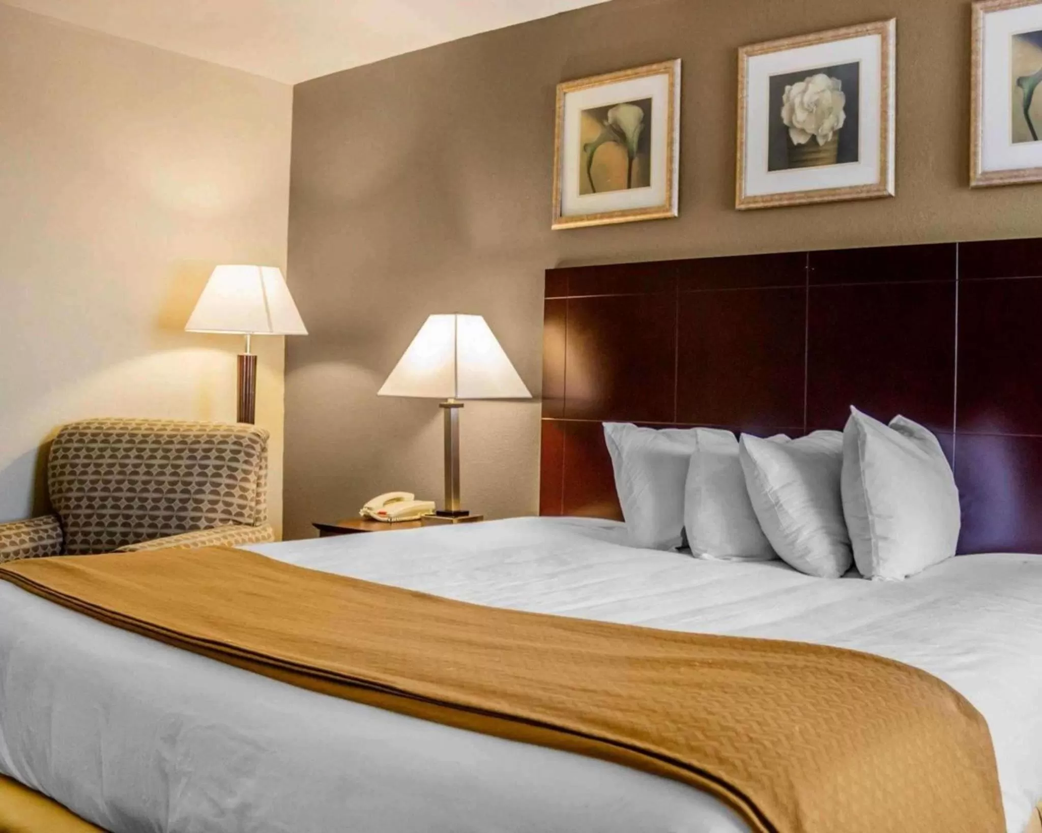 Photo of the whole room, Bed in Quality Inn Waterbury East