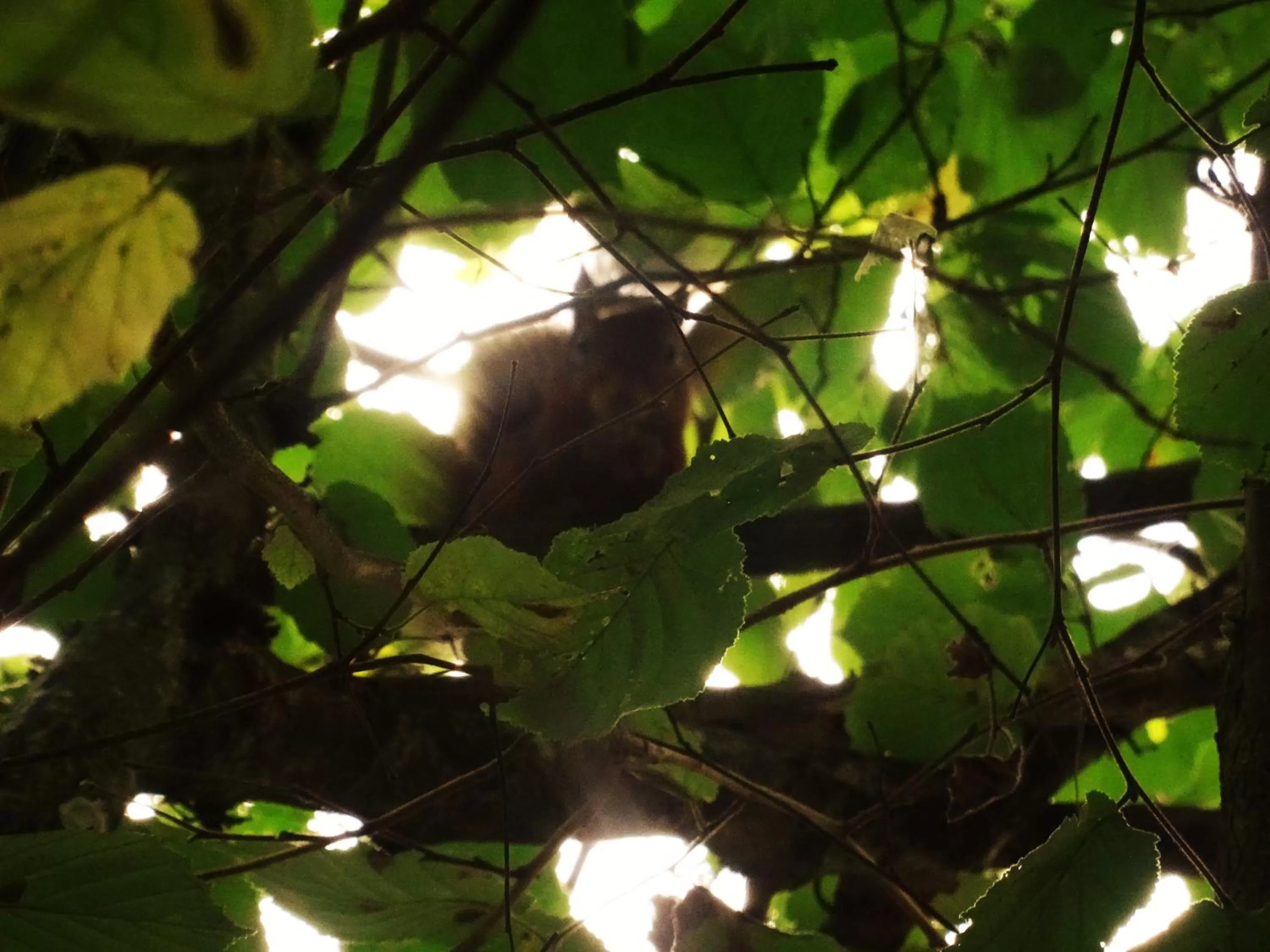 Garden view in Villa La Clef Des Champs
