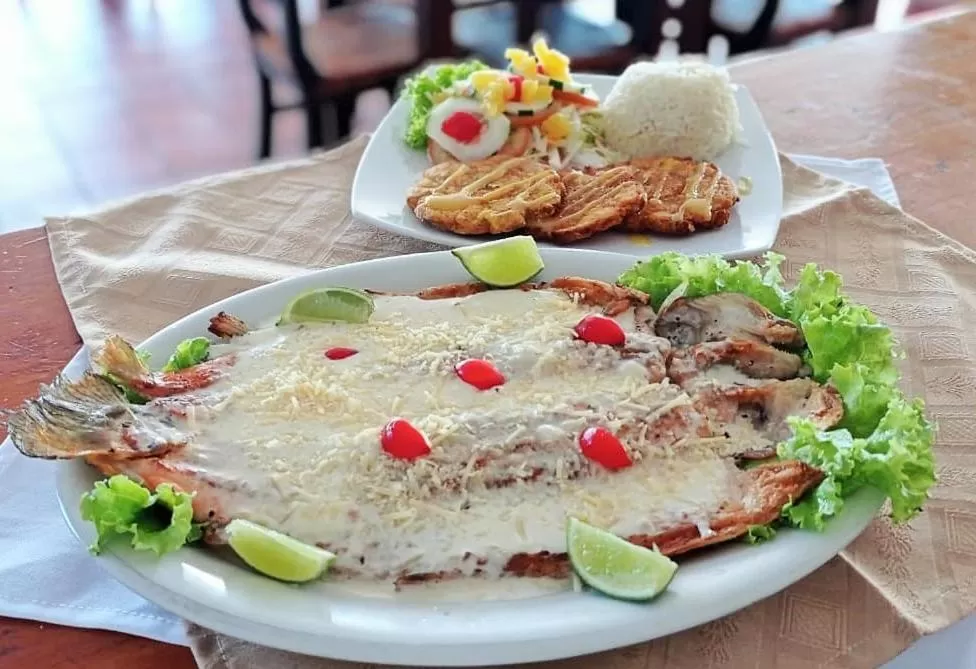 Restaurant/places to eat, Food in Hotel Las Rocas Resort Villanueva