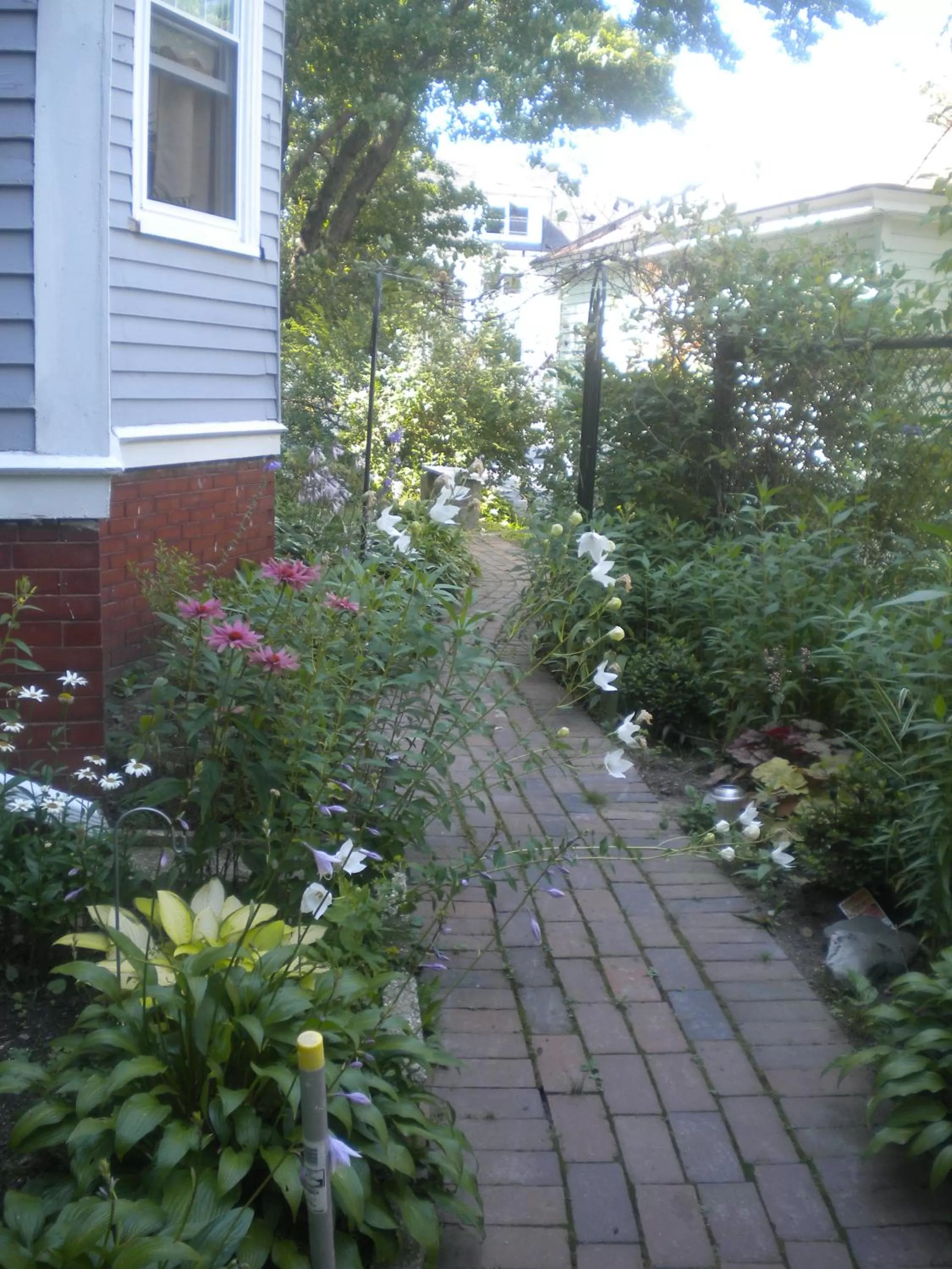 Other, Garden in Fleetwood House Bed and Breakfast