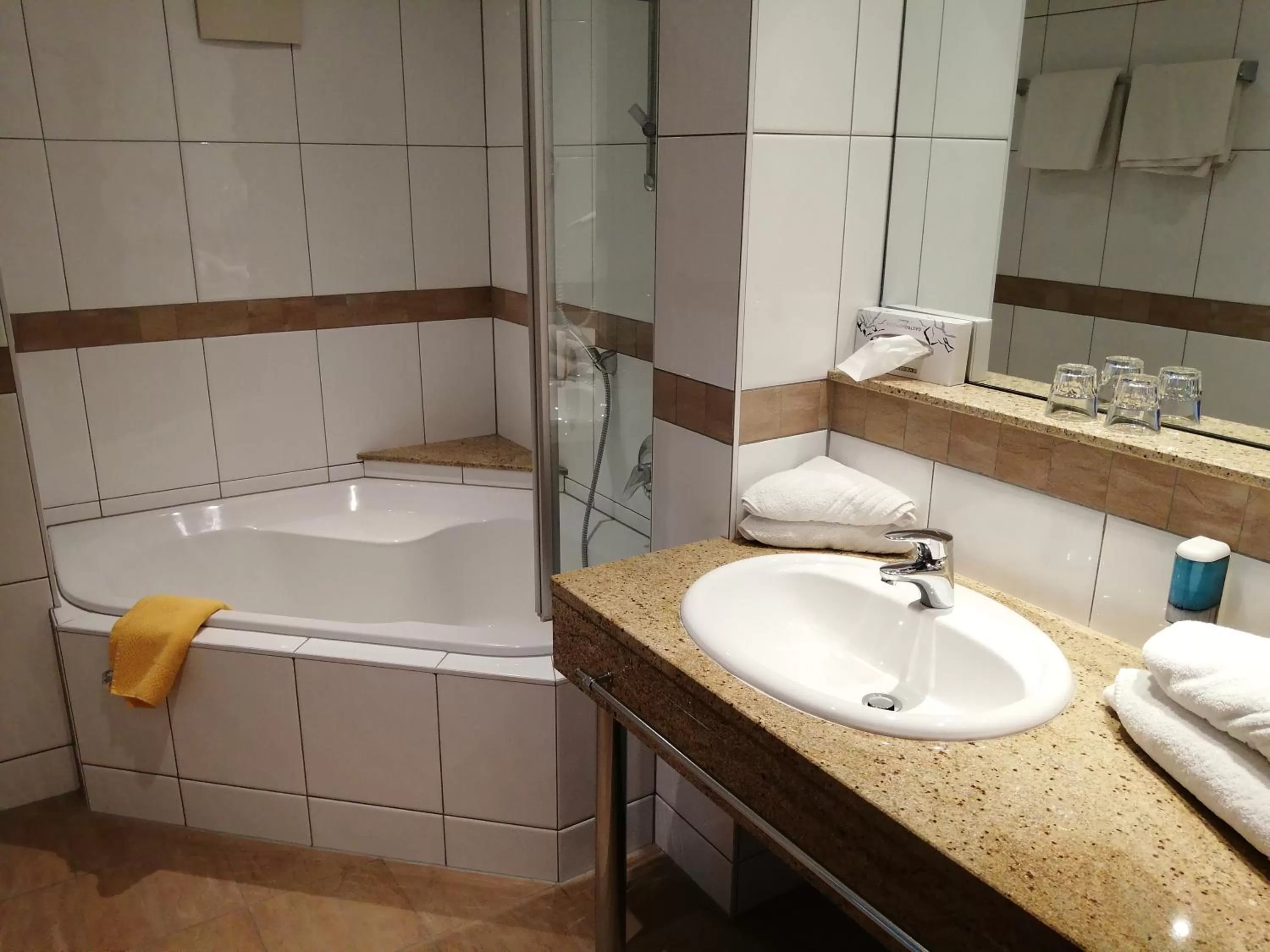 Bathroom in Hotel Enzian