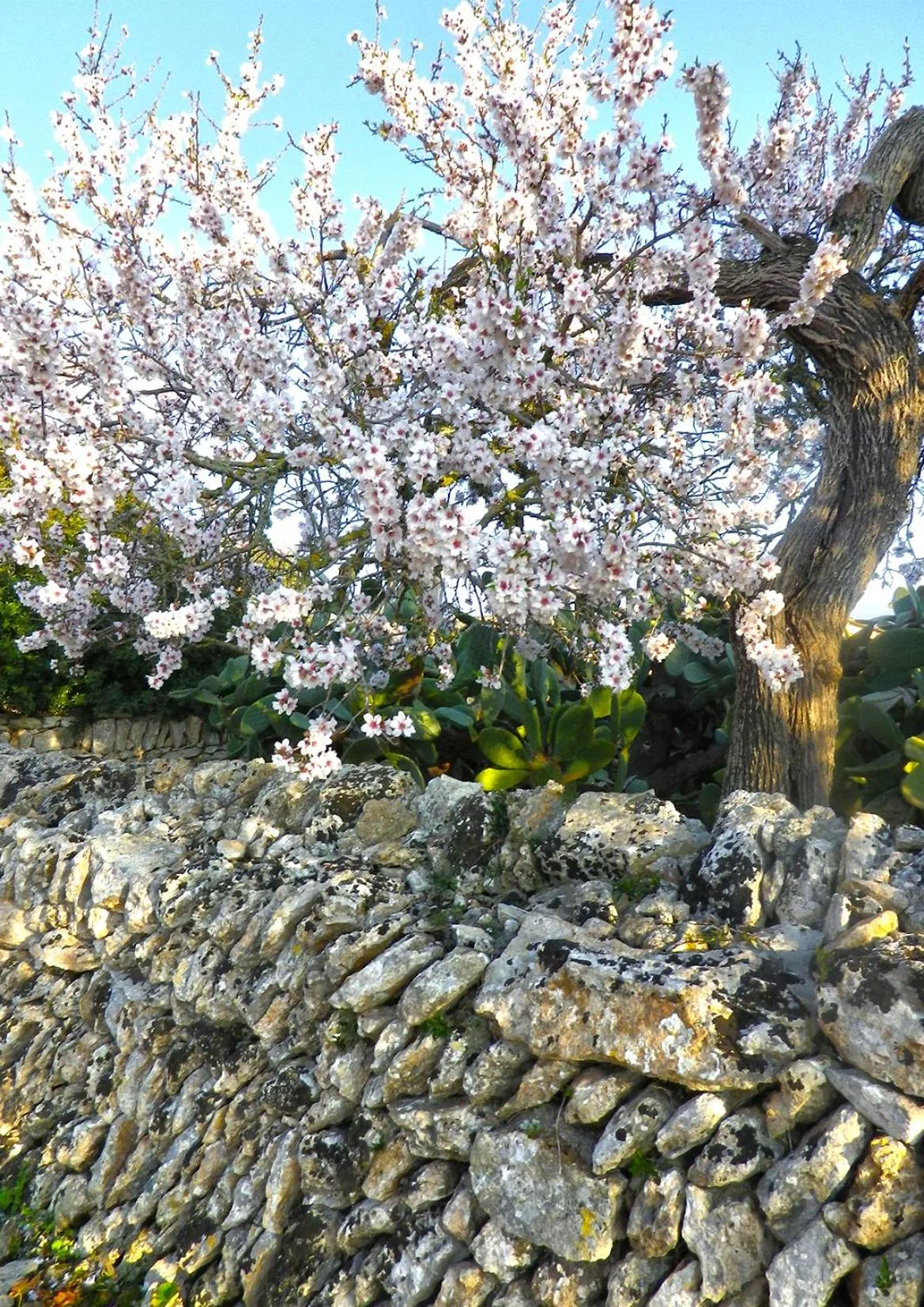 Other in Hotel Rocamar