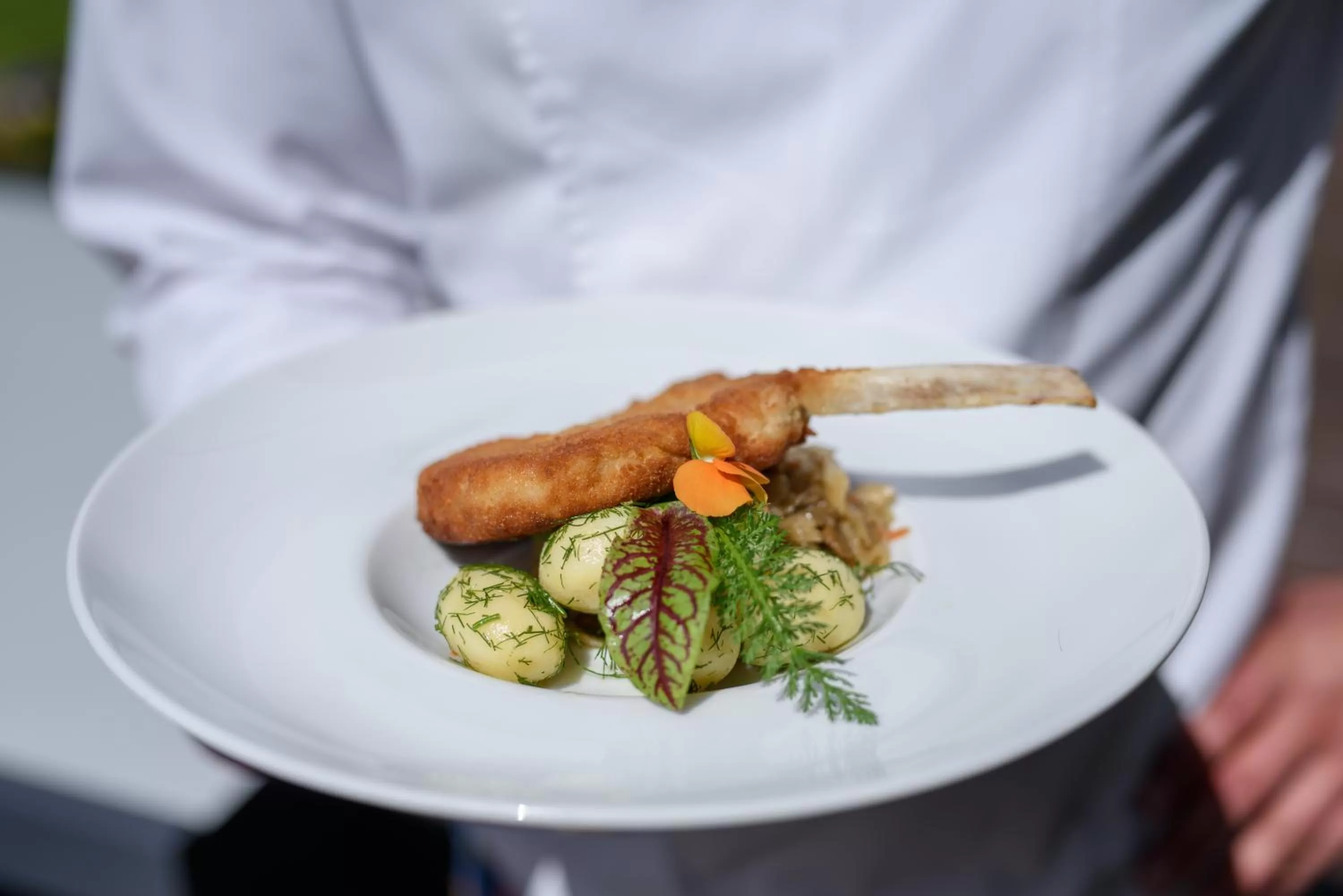 Food close-up in Hotel Jastarnia