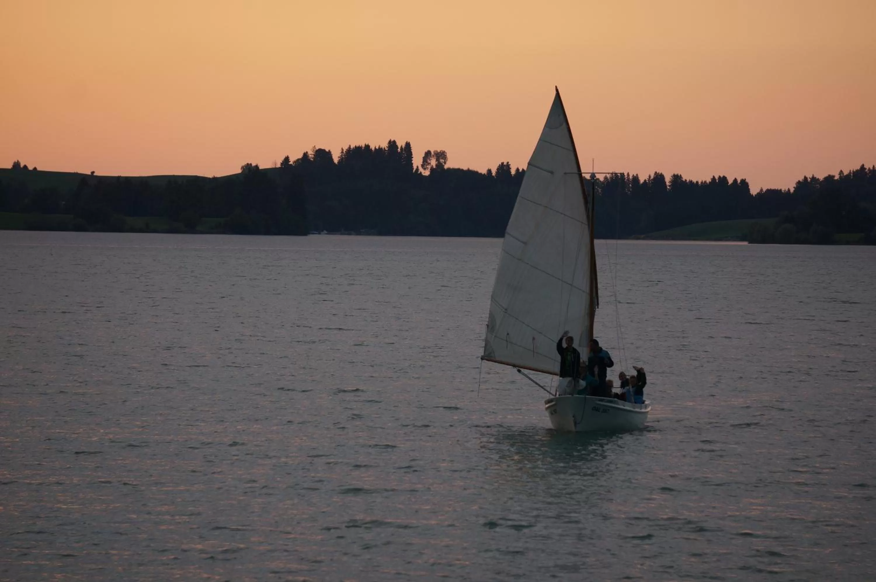 Sports, Windsurfing in Hotel Jakob