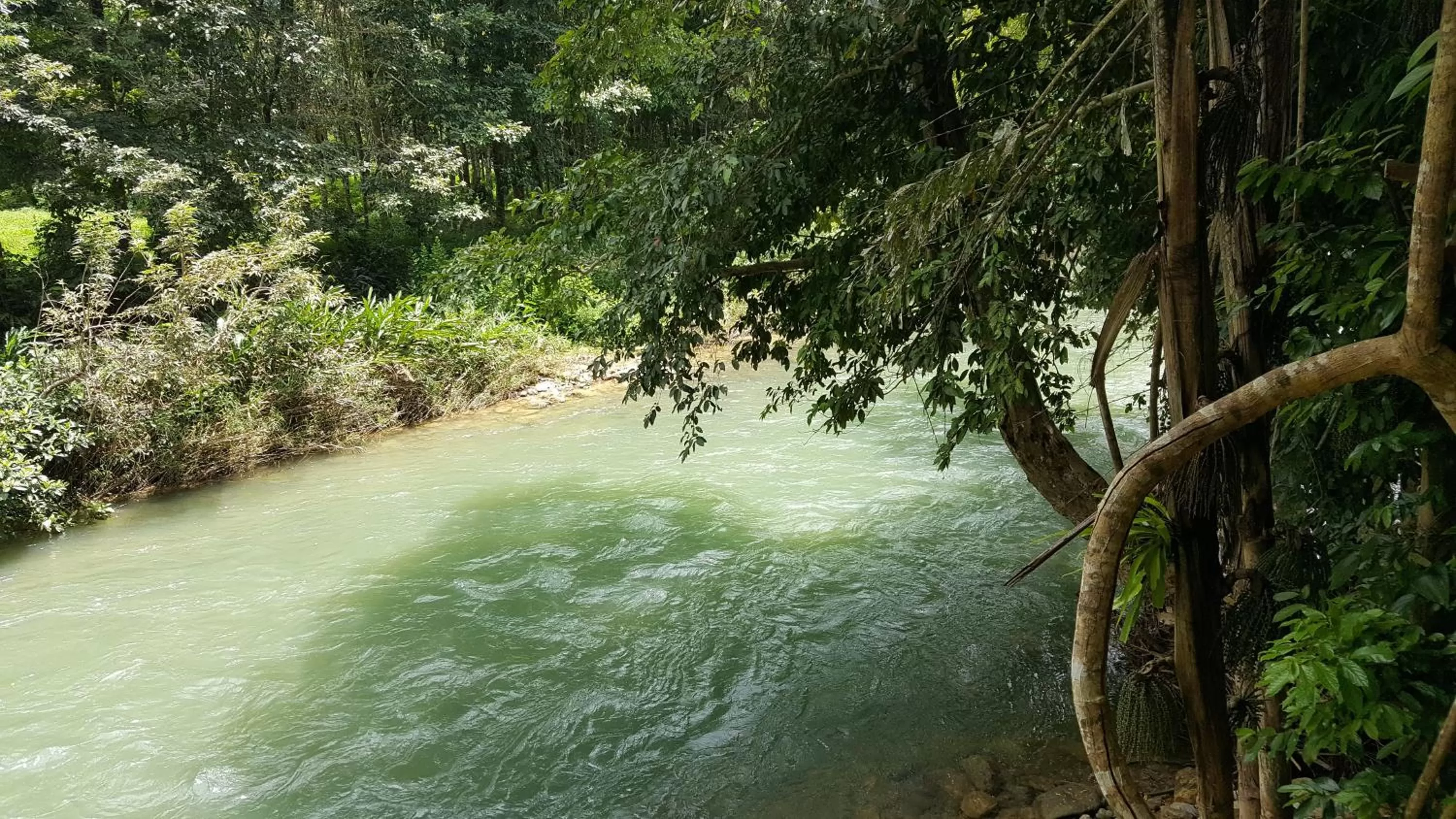 Nearby landmark in Khao Sok Jungle Huts Resort