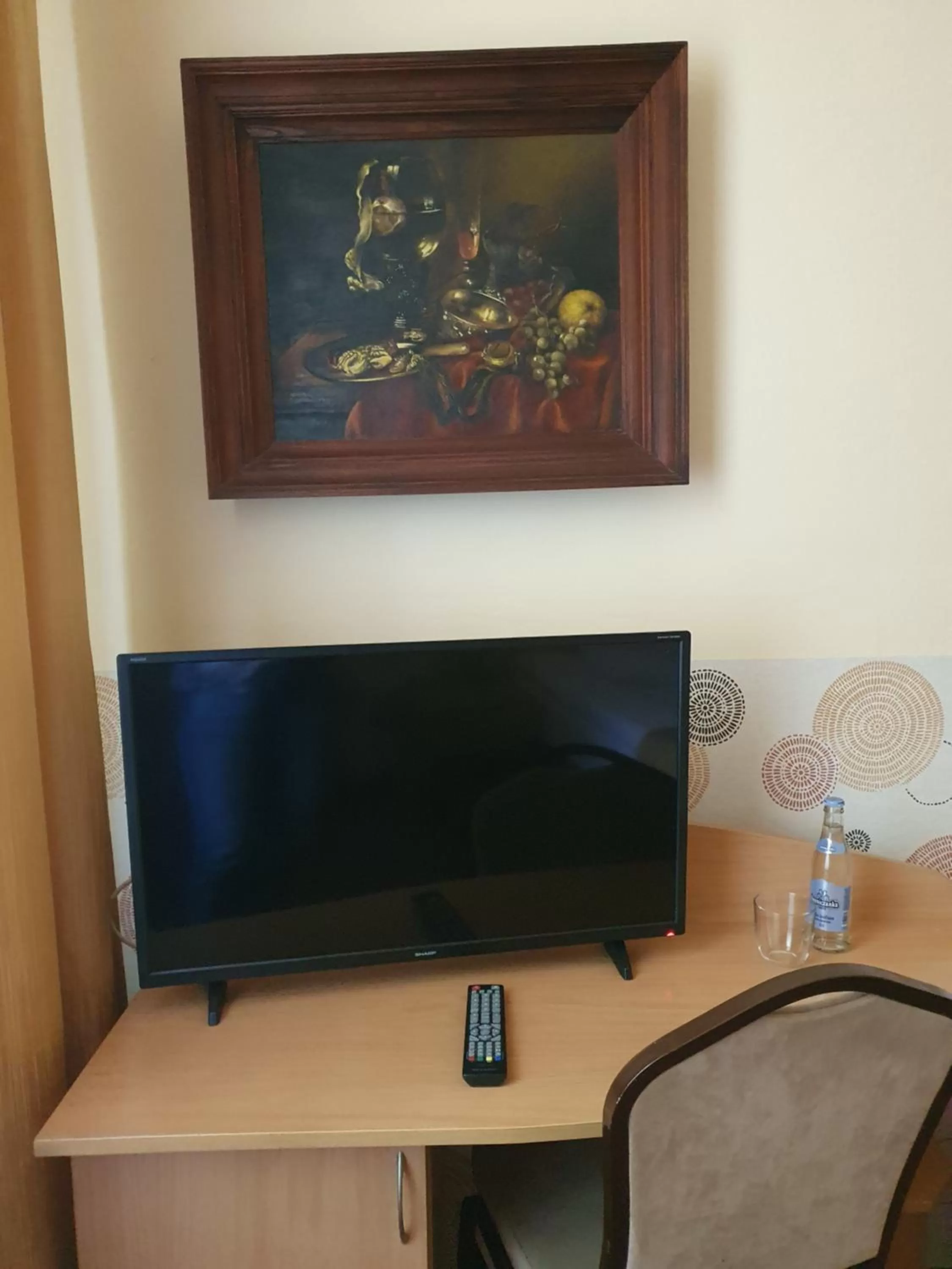 TV/Entertainment Center in Hotel Iskra