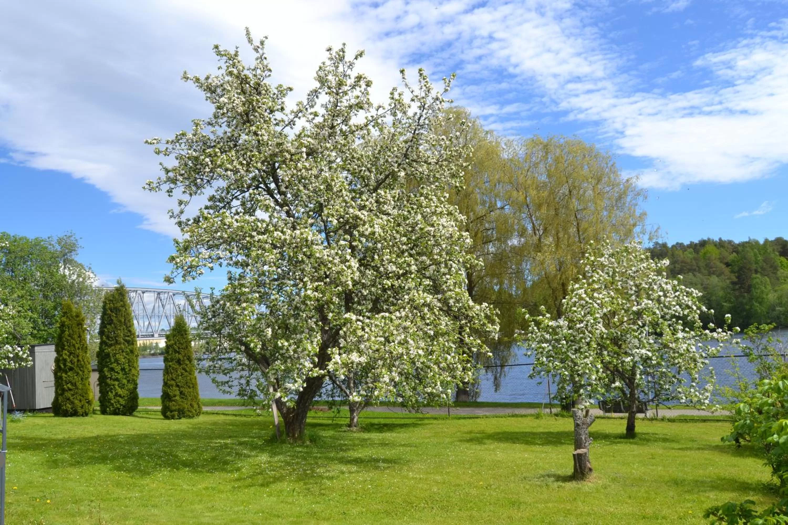 Garden in Lossiranta Lodge
