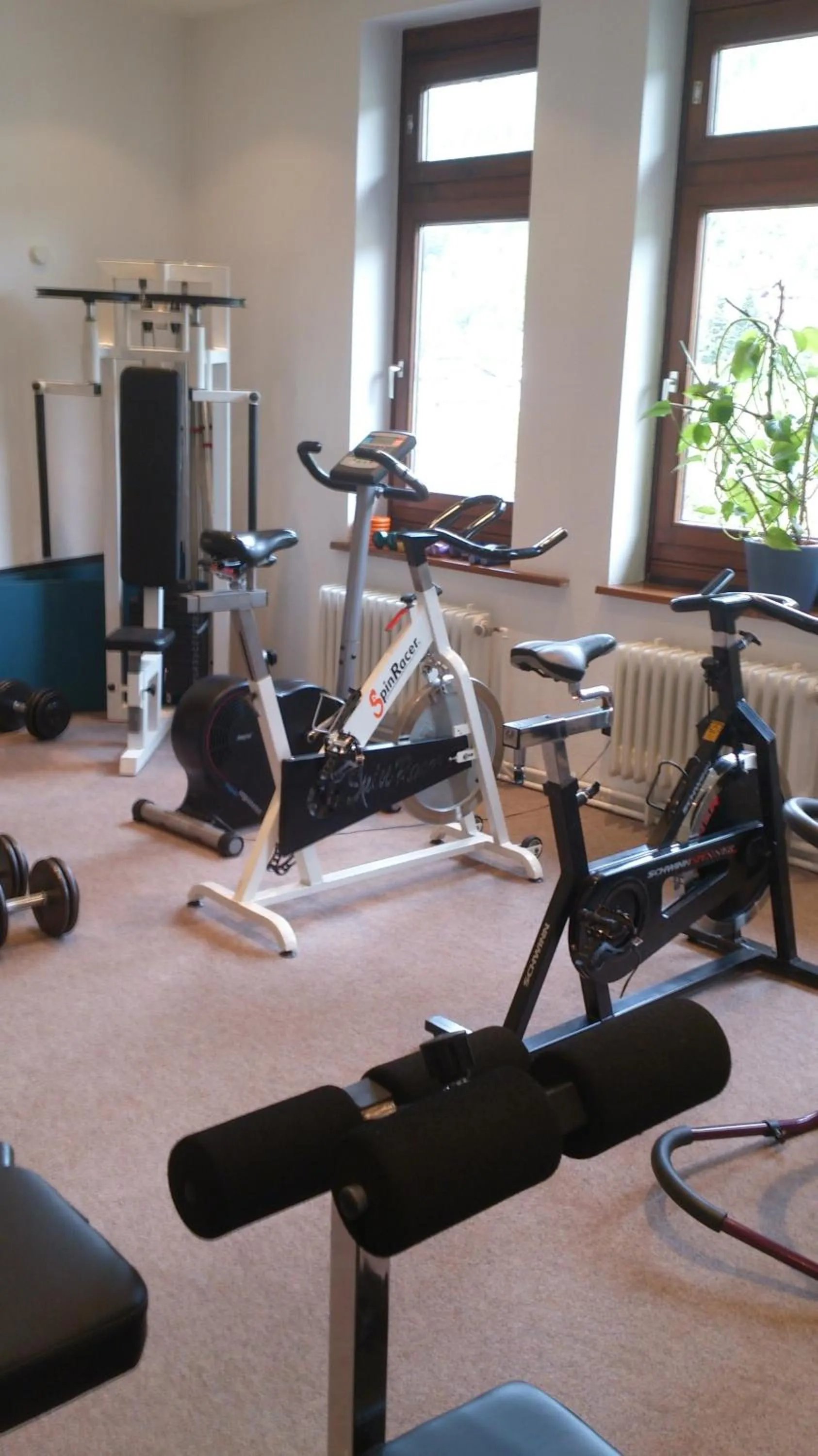 Fitness centre/facilities in Hotel Bergfrieden