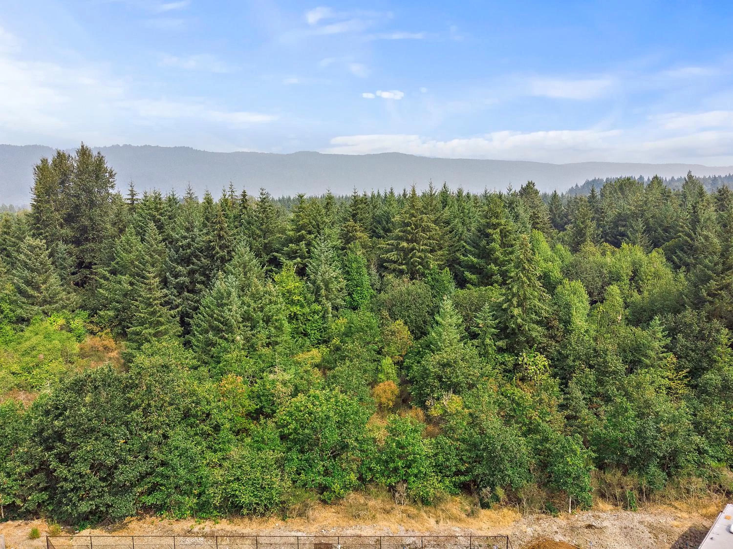 Garden view in Lucky Eagle Casino & Hotel (Washington)