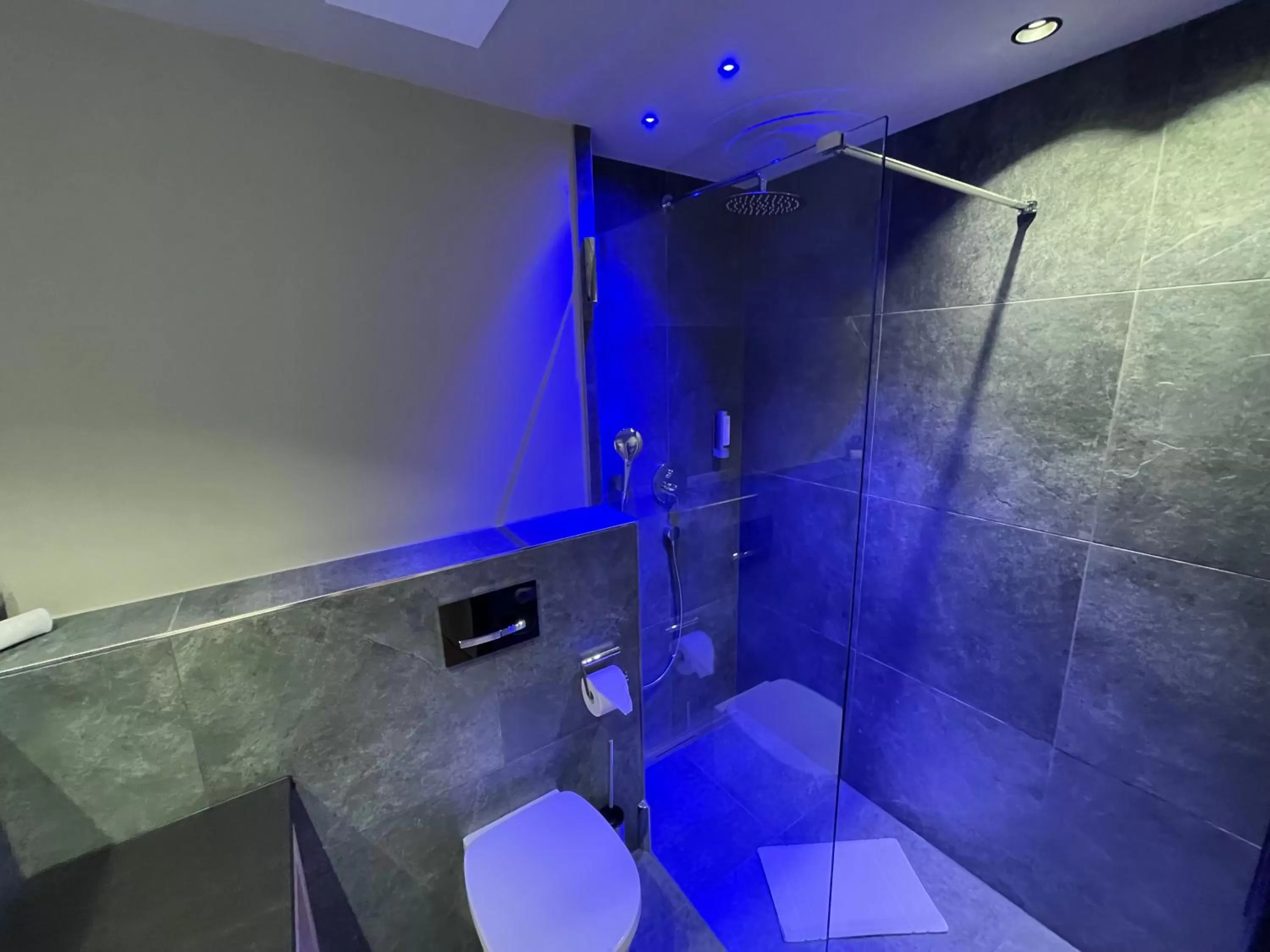 Bathroom in Alpin Lifestyle Hotel Löwen & Strauss