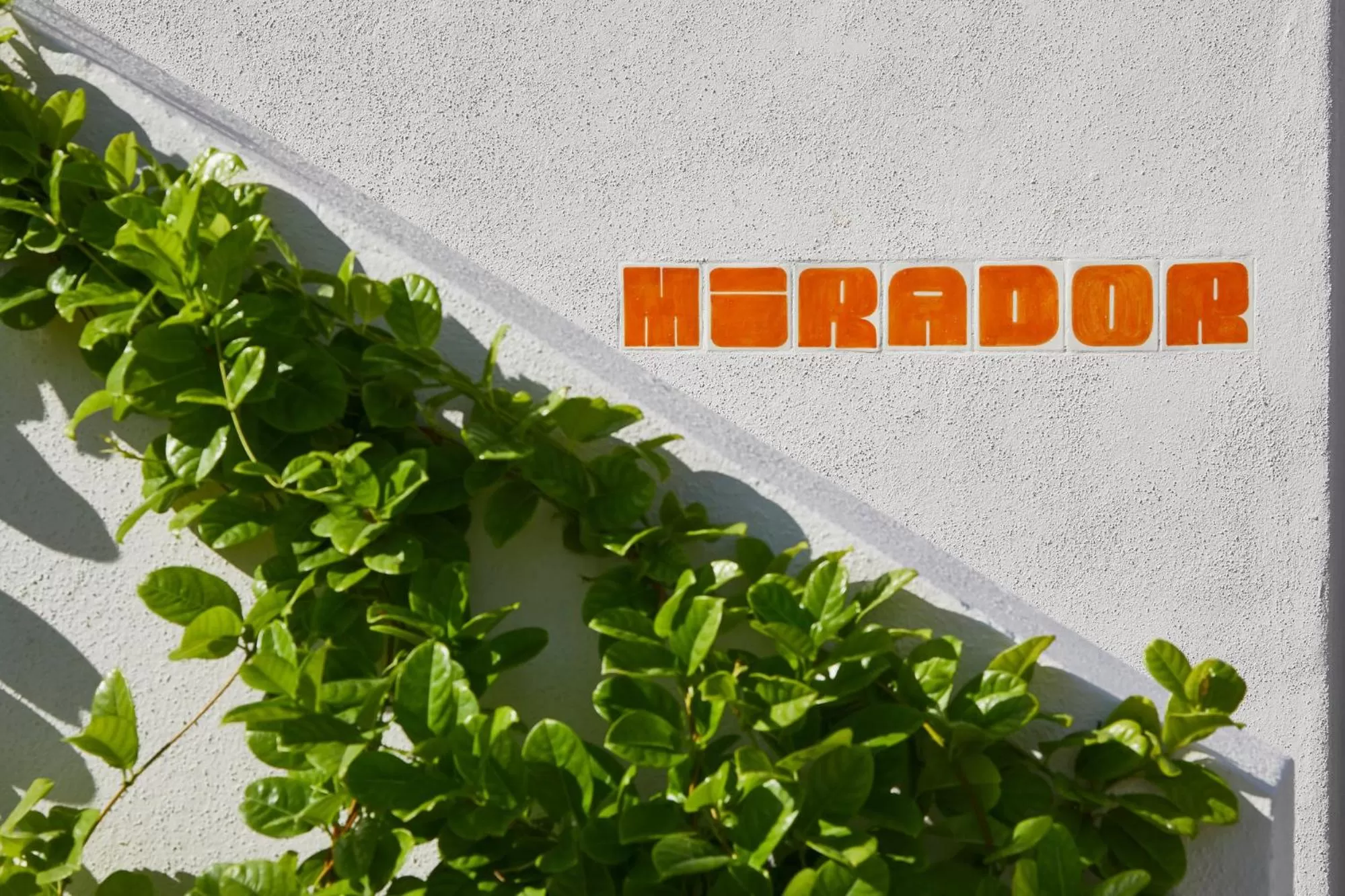 Property logo or sign in Hotel San Cristobal Adults 15+