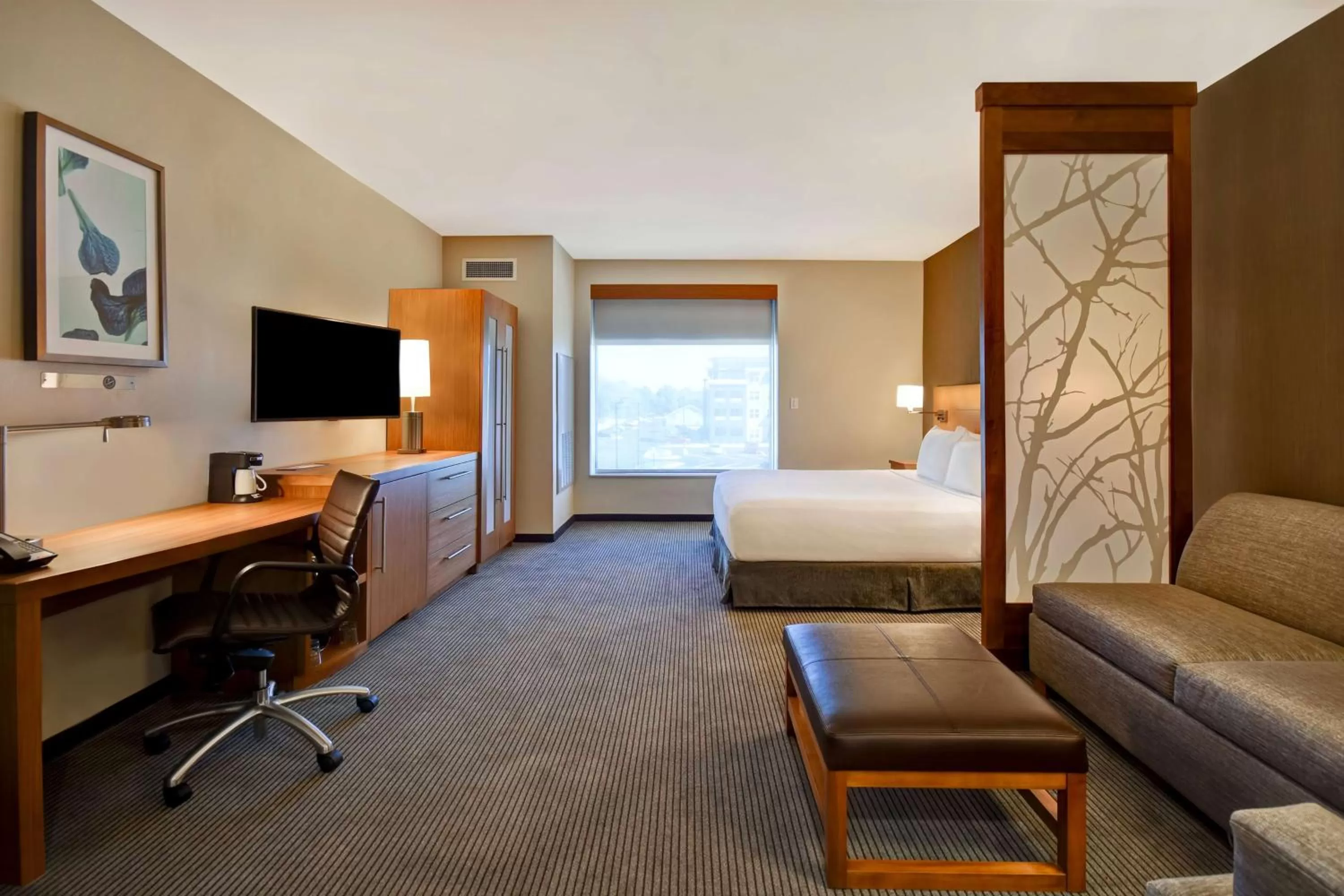 King Suite with Bathtub and Sofa Bed - Mobility Accessible in Hyatt Place Huntsville