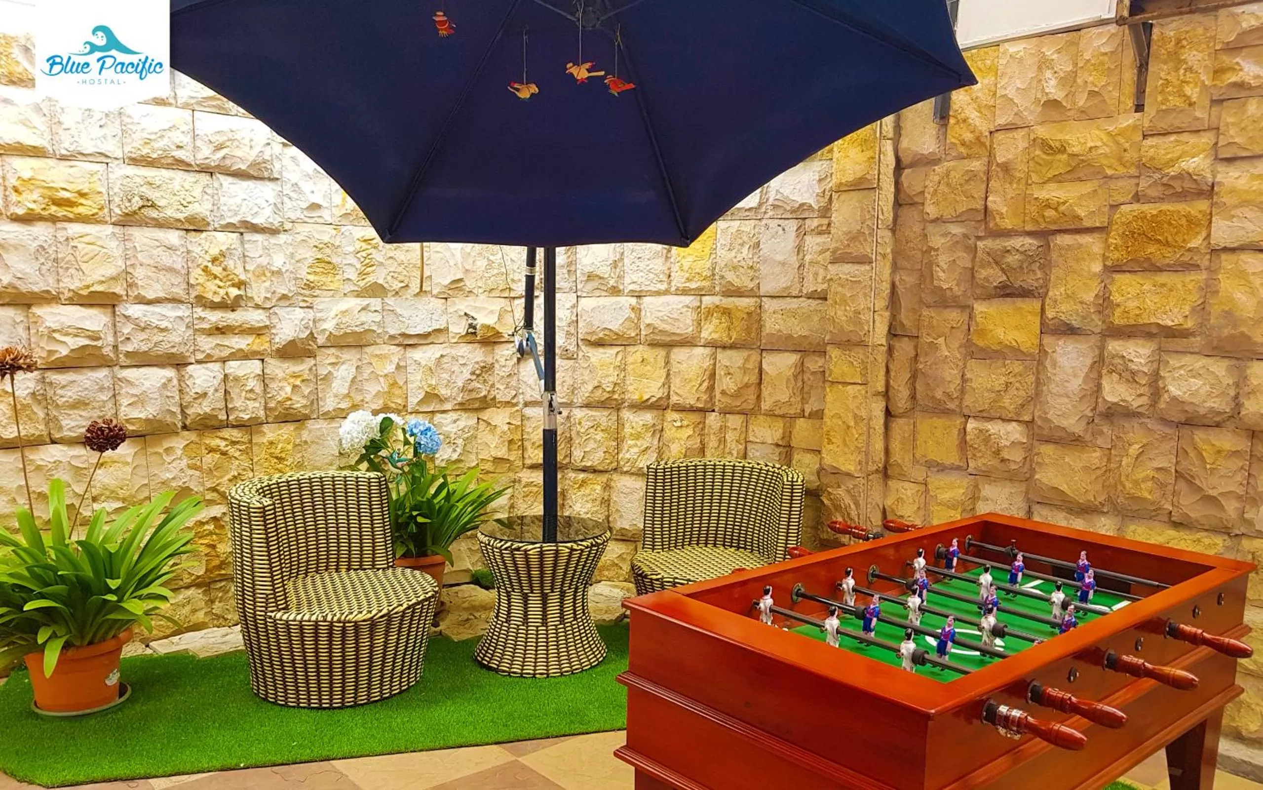 Entertainment, Other Activities in Hostal Blue Pacific