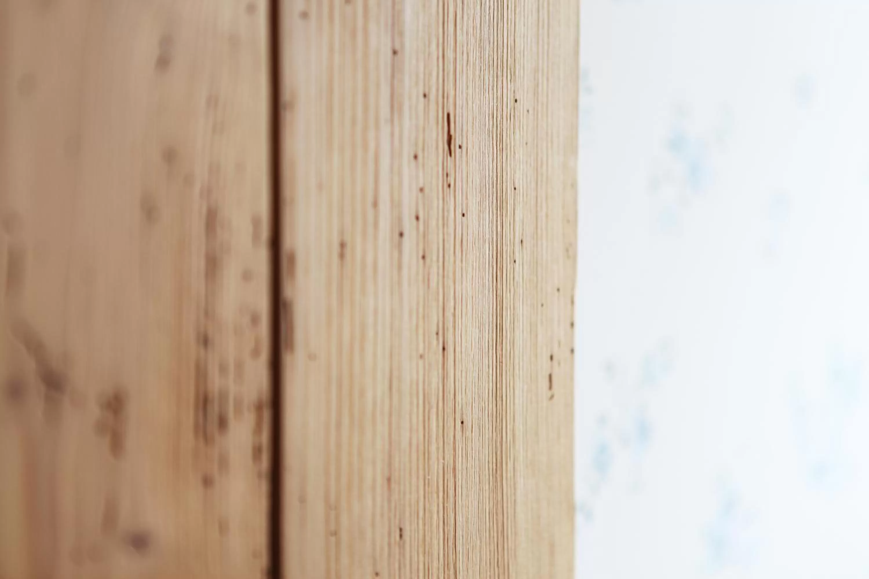 Other in Logis Hôtel Ettenheim