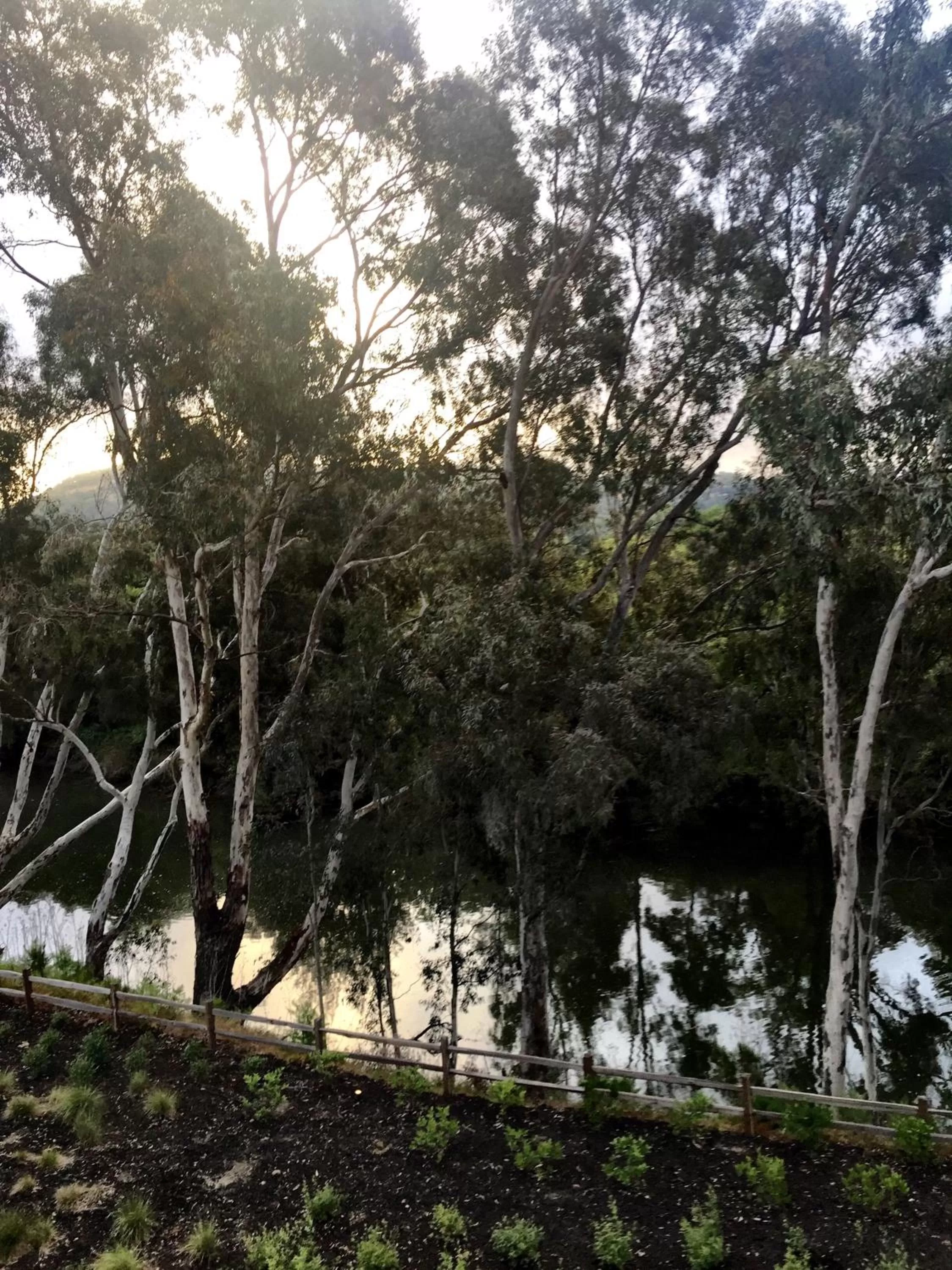 River view in River Terrace Inn, a Noble House Hotel