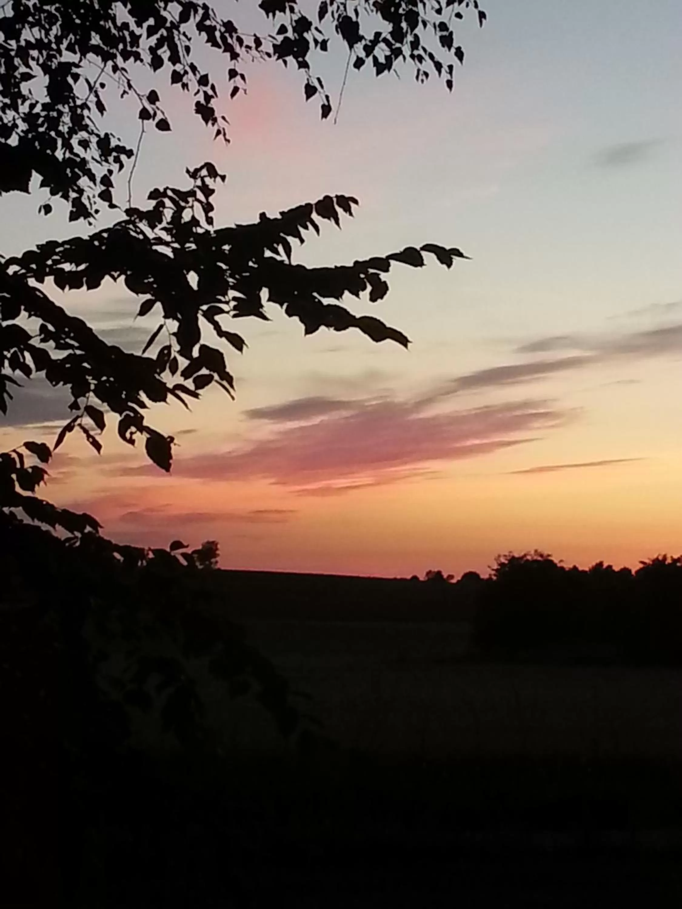 Natural landscape in Roskilde B&B