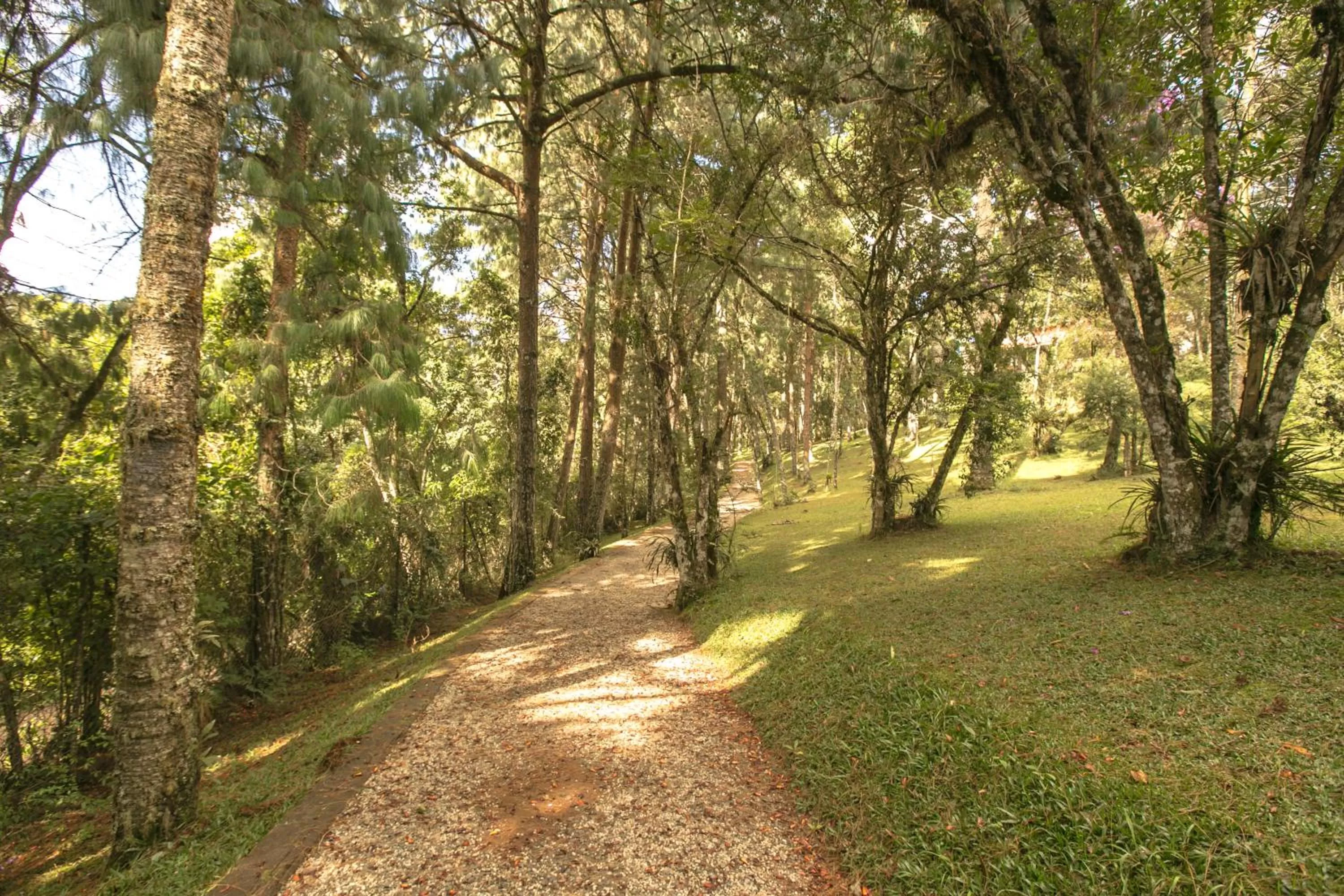 Activities in Hotel Toriba