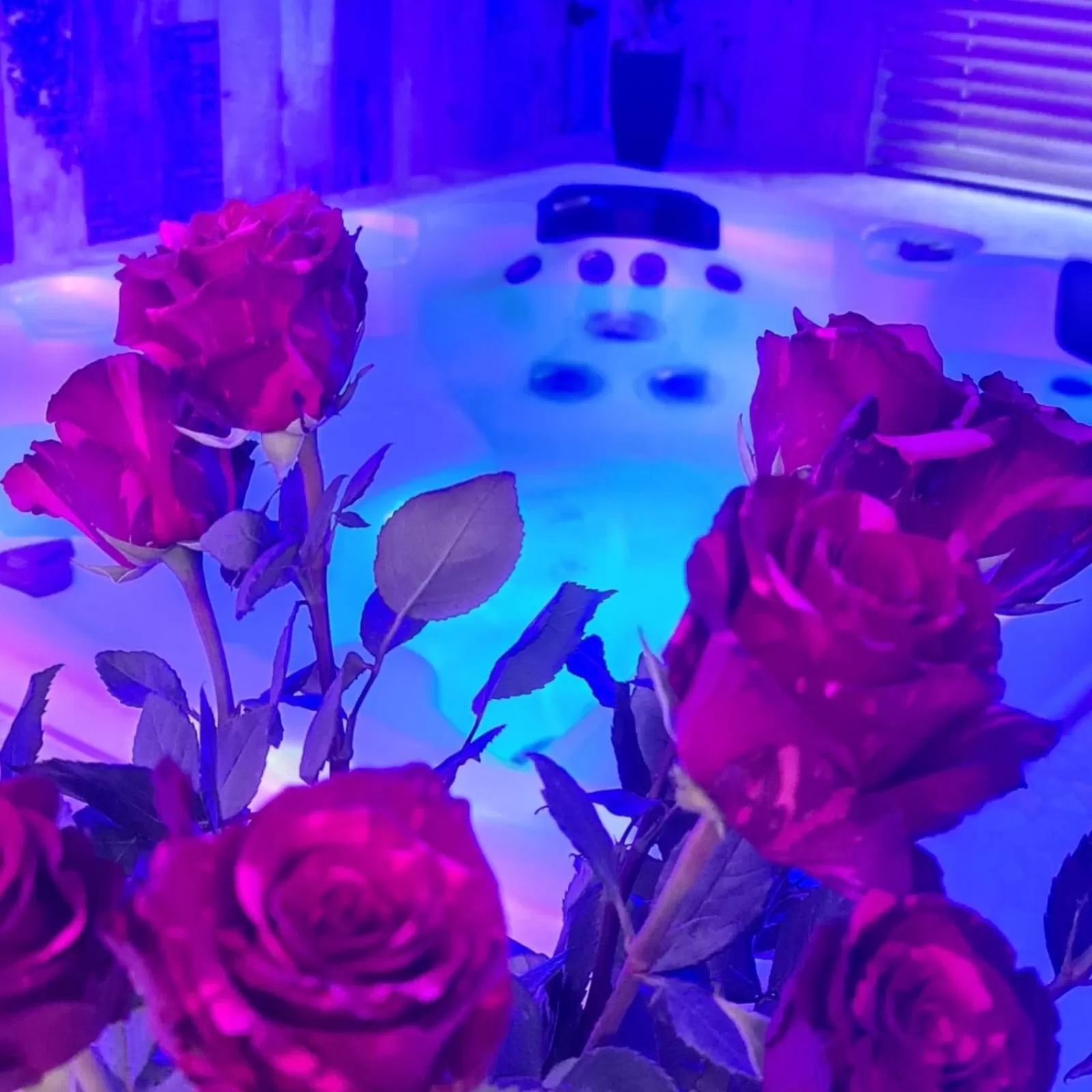 Spa and wellness centre/facilities in Loveroom La Garçonn'Hyères