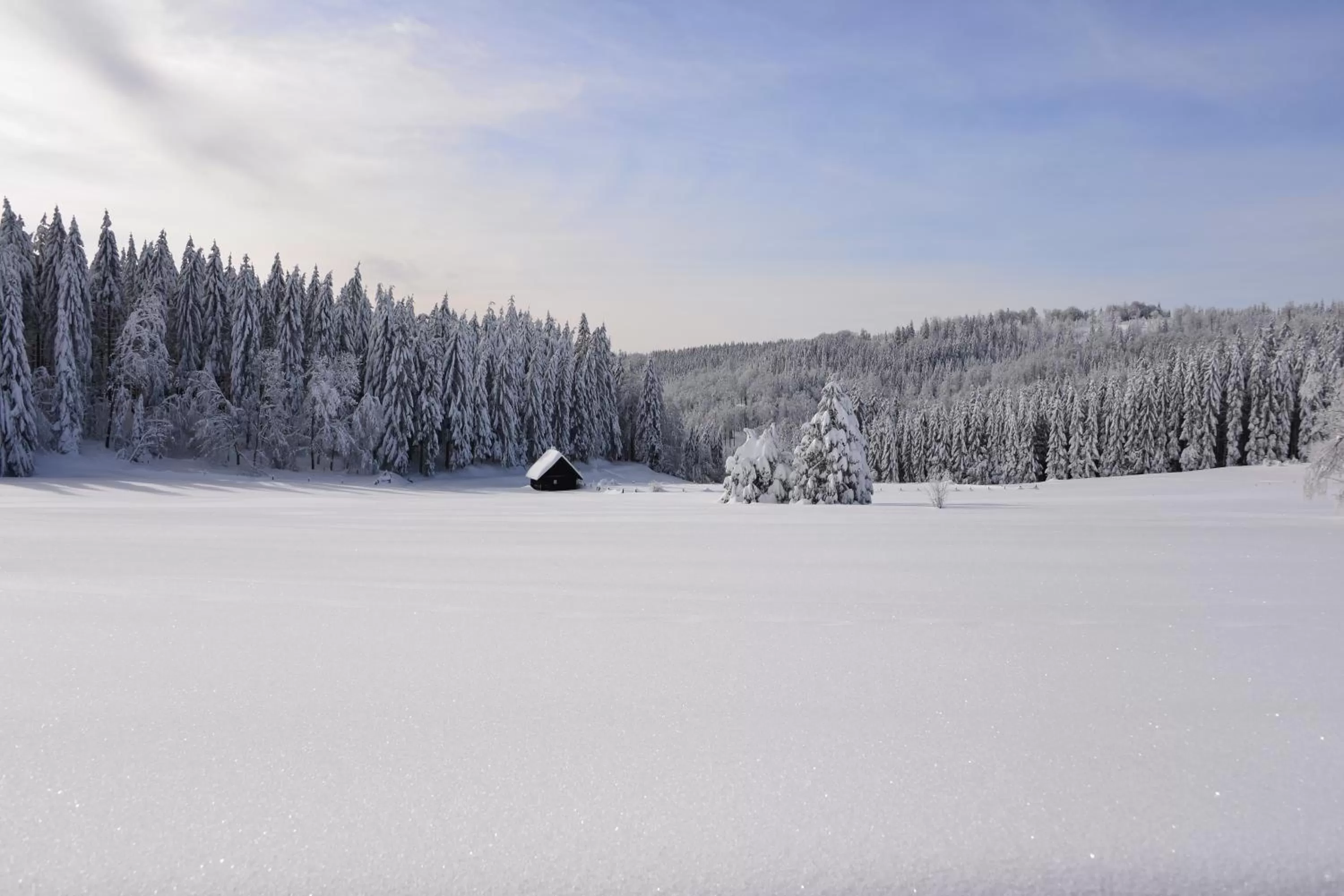 Natural landscape, Winter in RelaxHotel Tannenhof