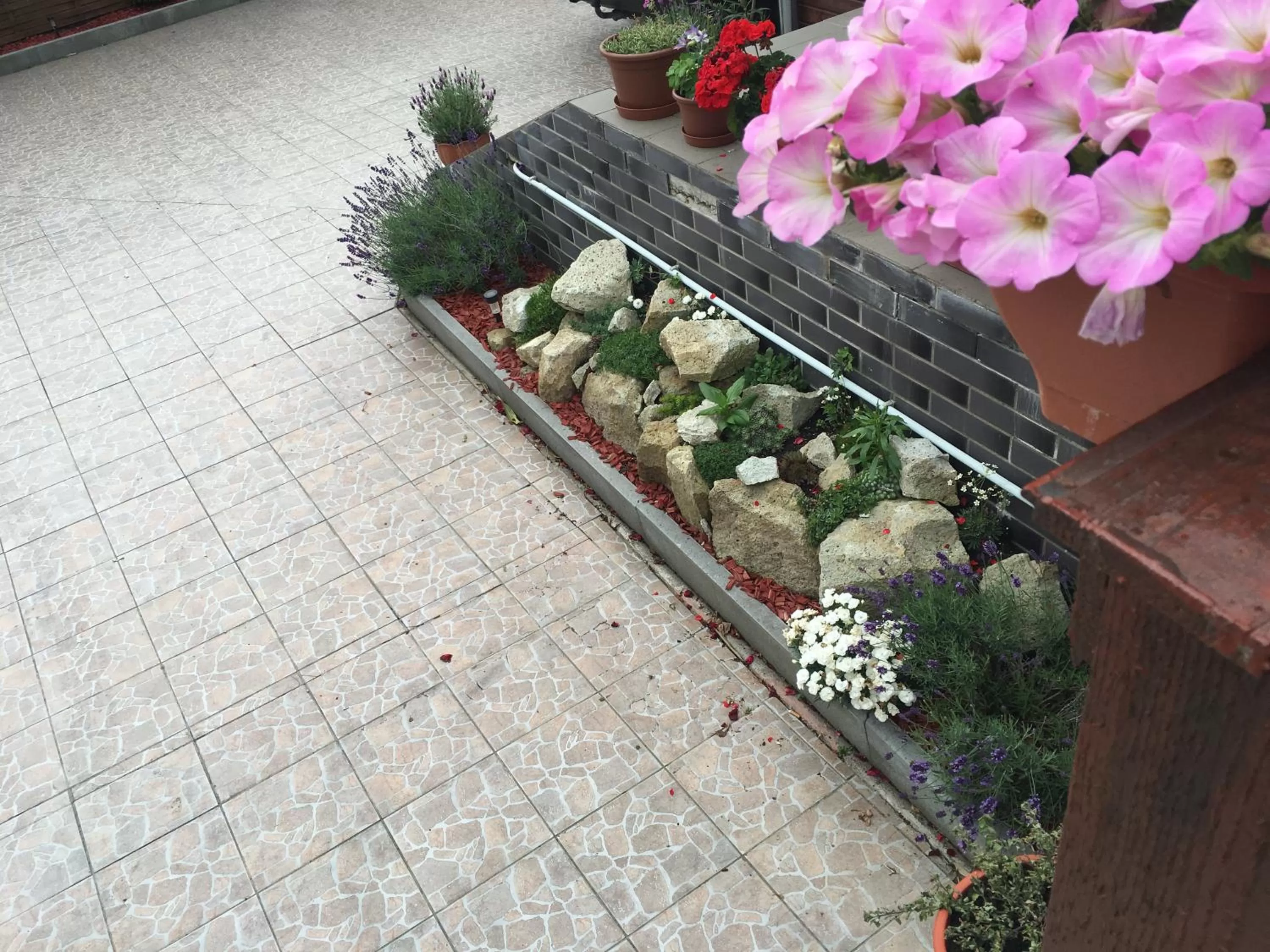 Patio/Outdoor Area in Abszolút Hotel és Panzió