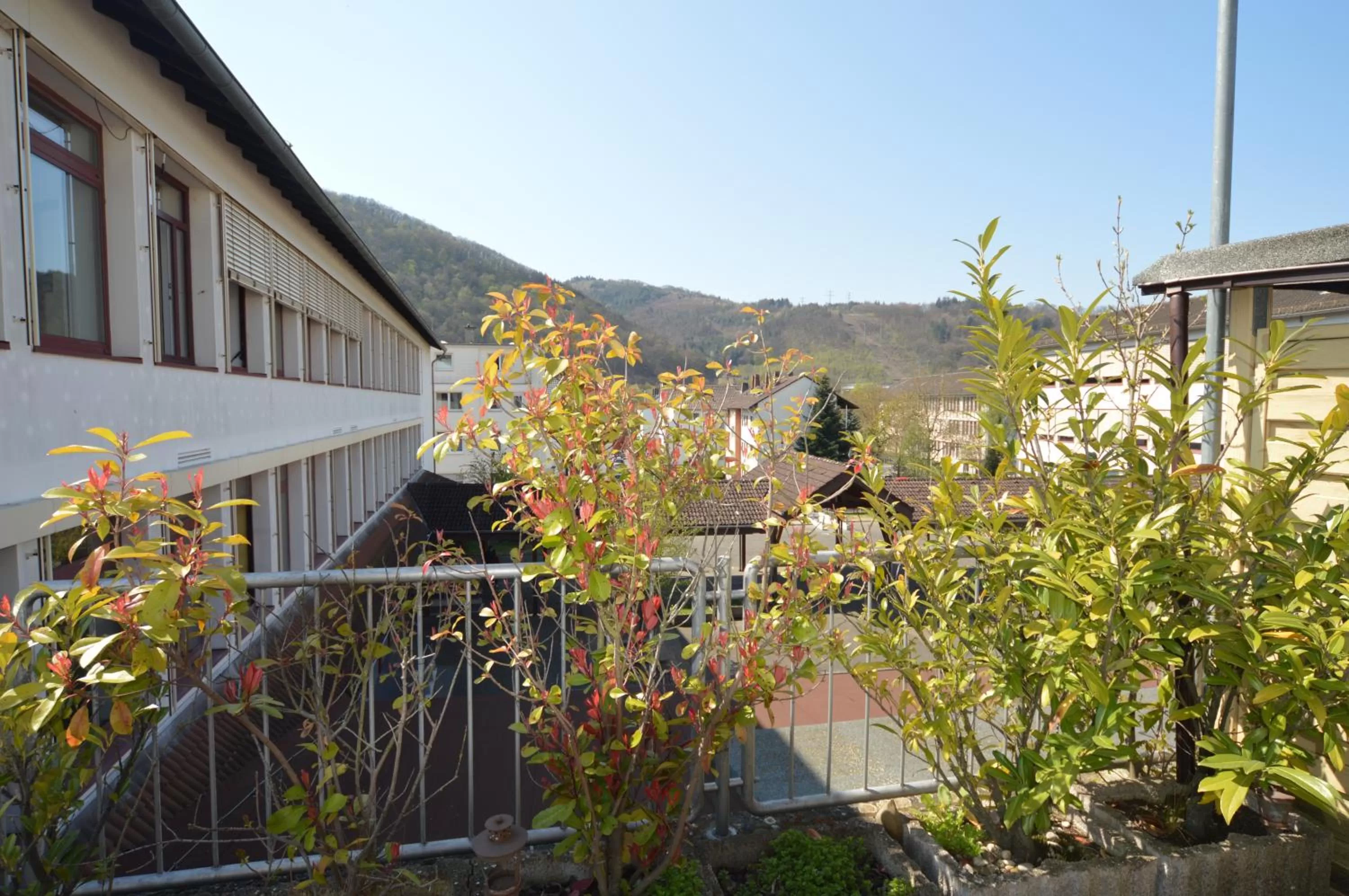 Balcony/Terrace in Aktivhotel Alter Kaiser