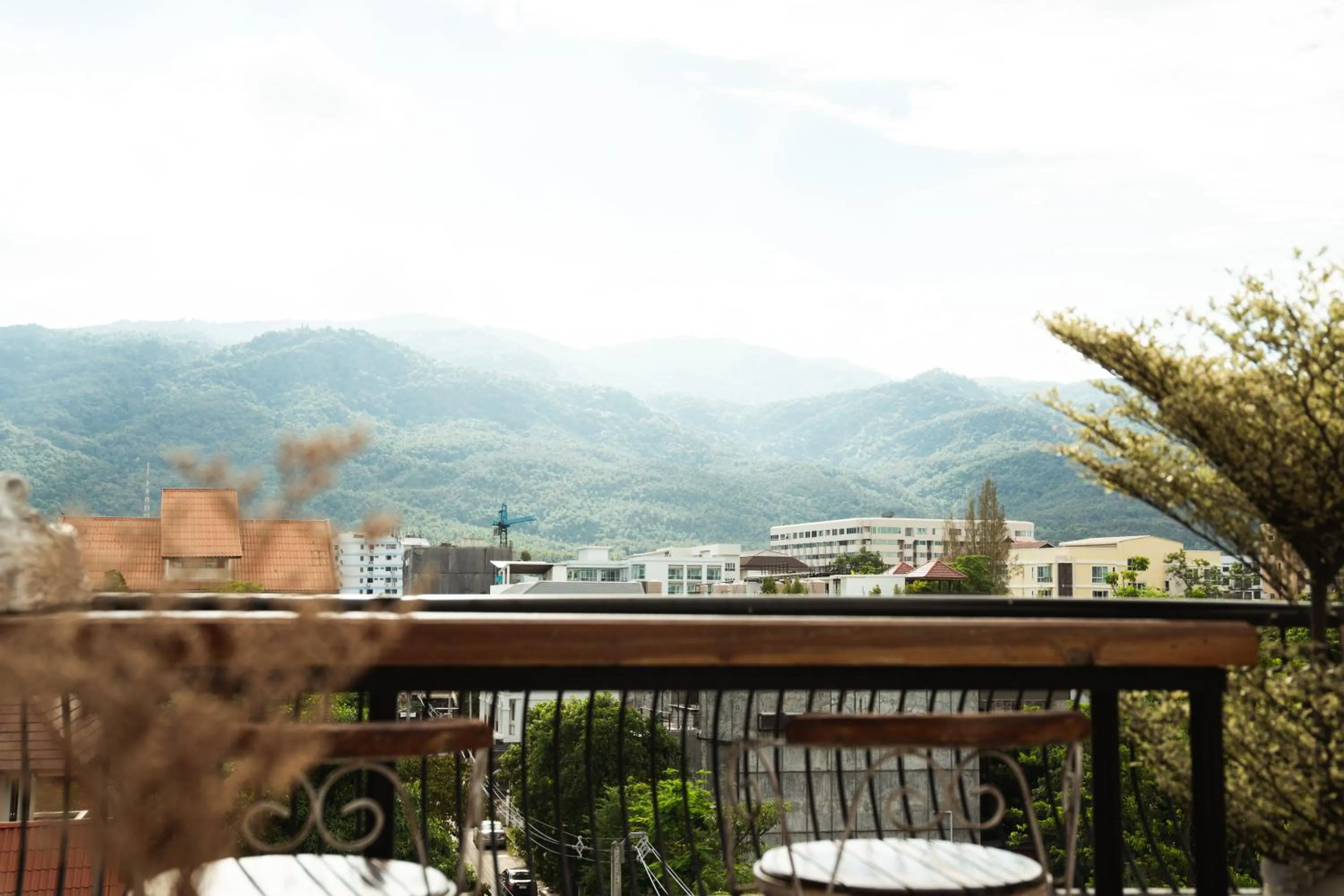 Natural landscape in Hotel Yayee