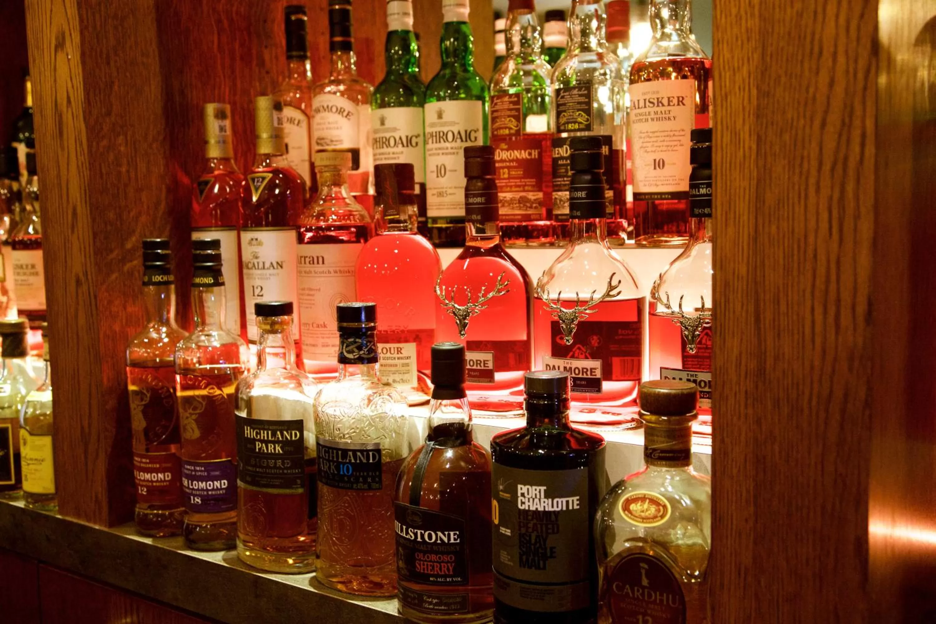 Lounge or bar in Hotel Arrows